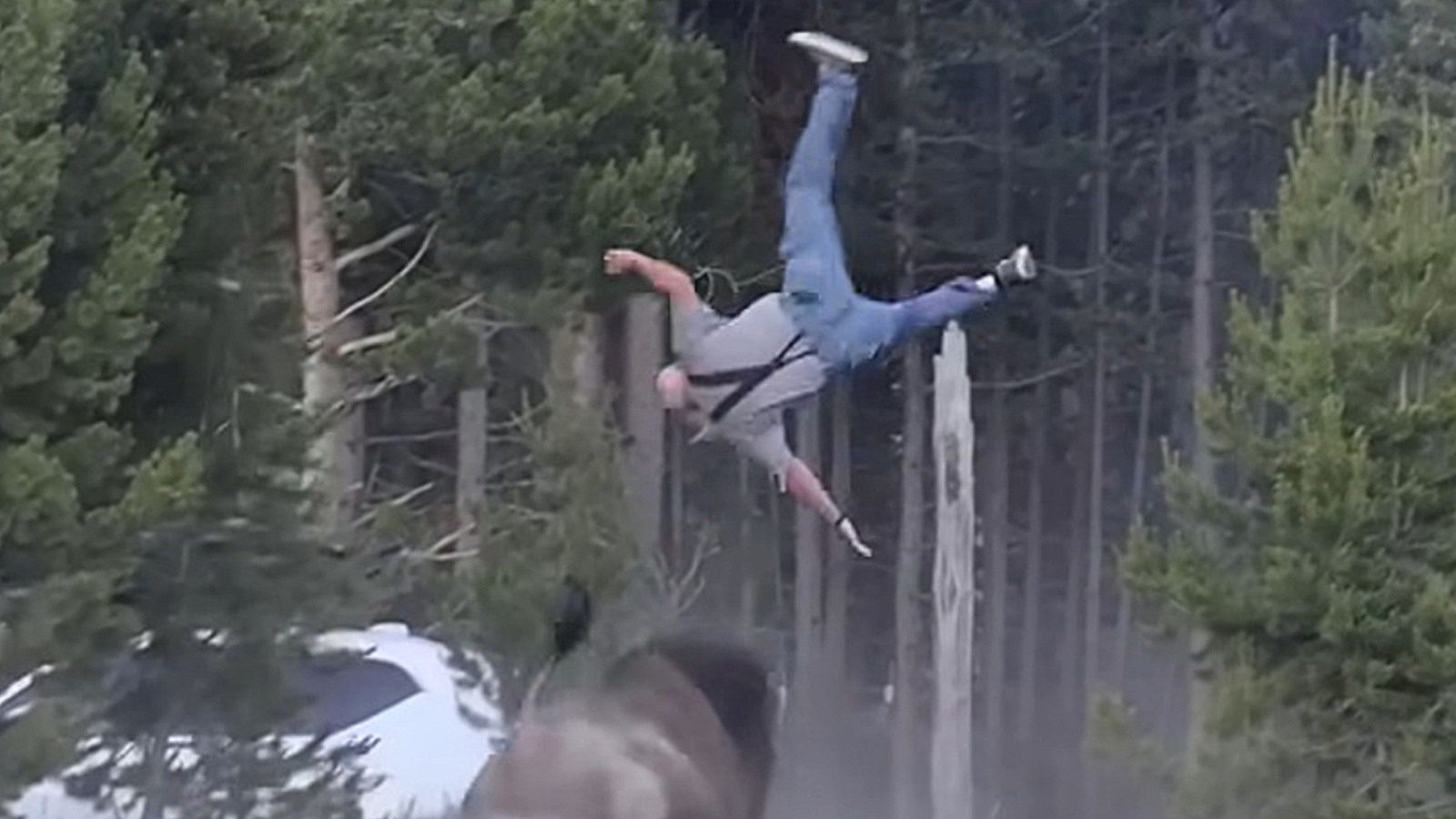 Agresywny atak bizona w Yellowstone. Turysta wyleciał 2,5 metra w górę