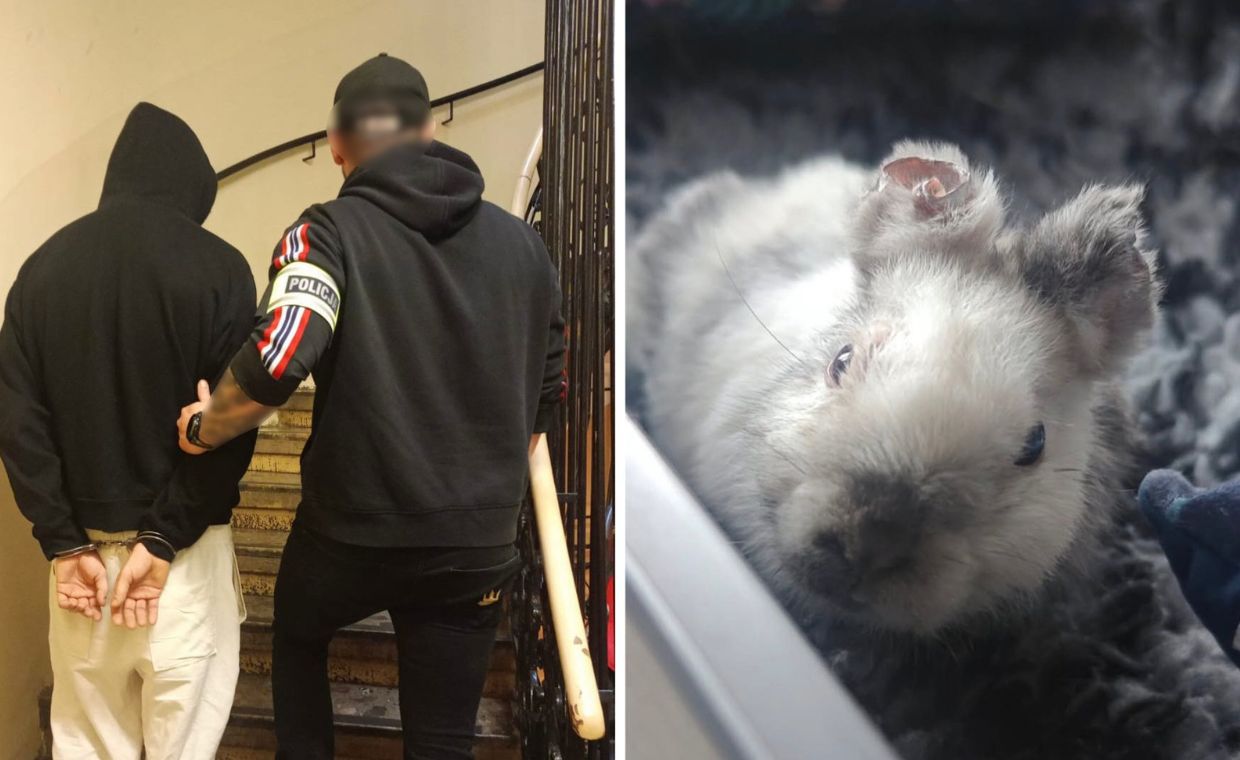 Okaleczył Marcysia. 21-latek trafił do aresztu