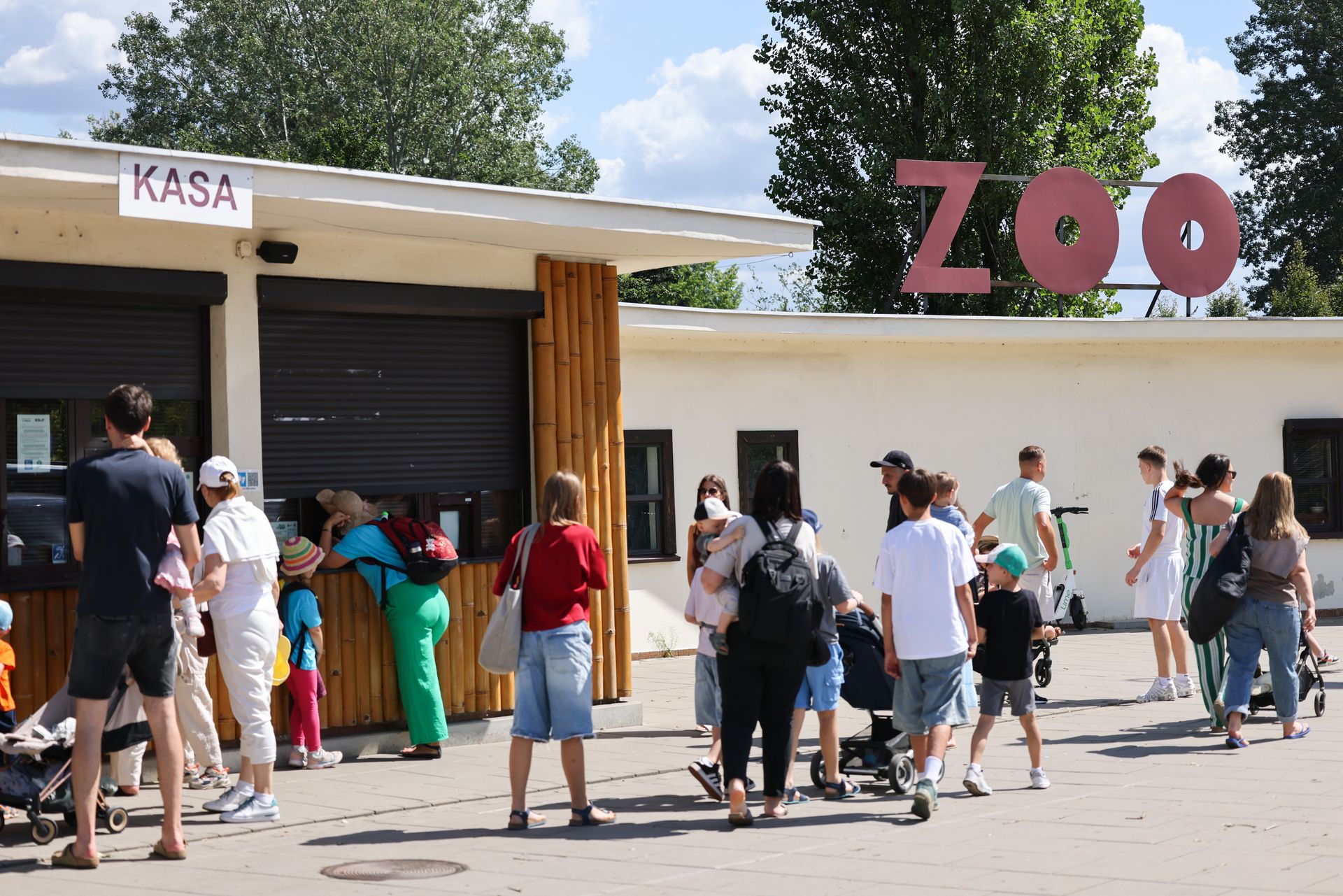 Setki interwencji w Warszawie przez silny wiatr. Zamknięto ZOO