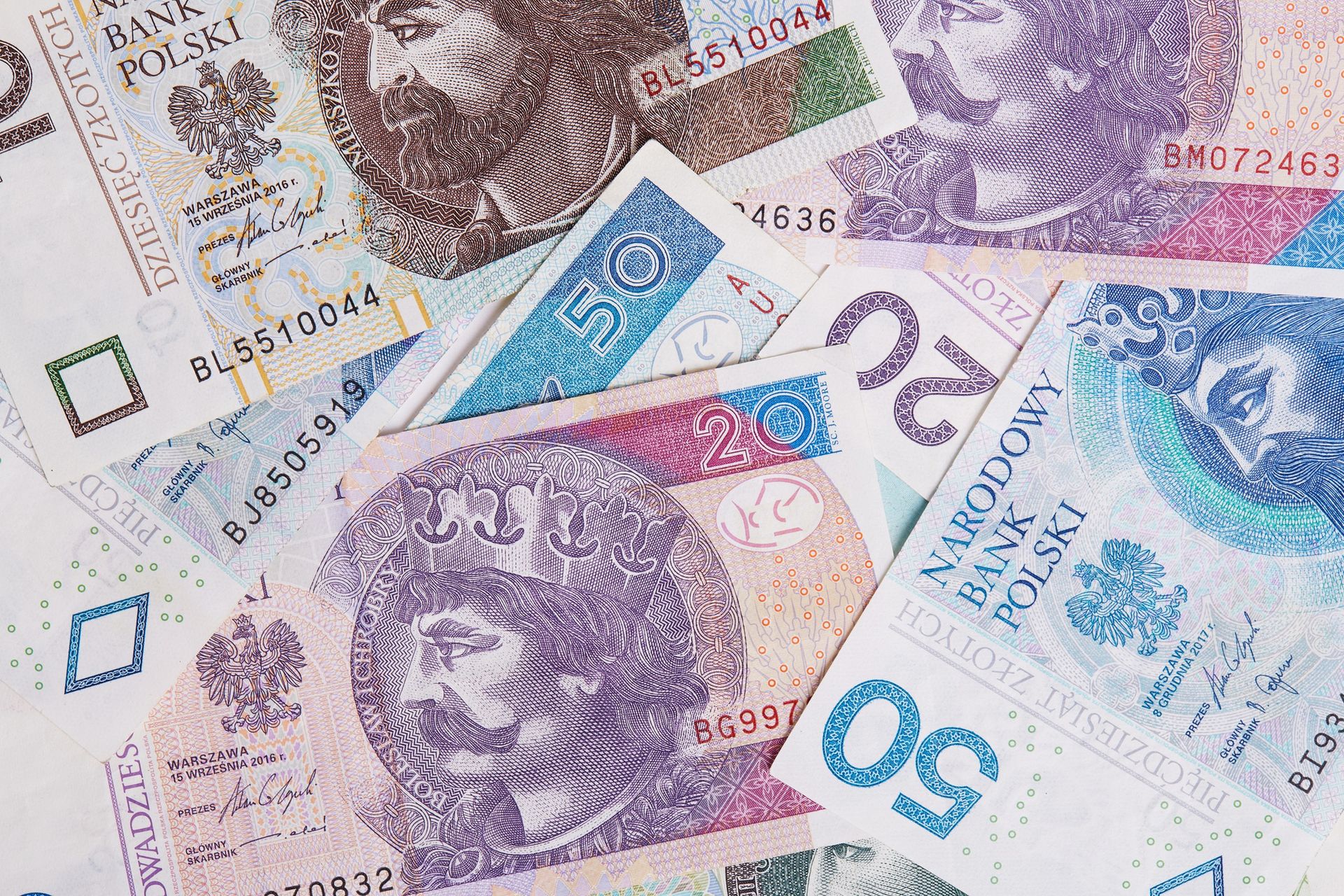 150 tys. zł na dobrostan zwierząt. Czas na wnioski tylko do 11 lipca