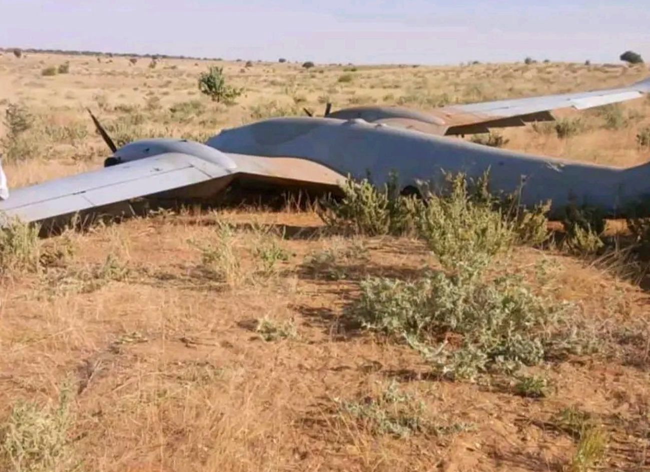 Leżał na afrykańskiej pustyni. Nie powinno go tam być