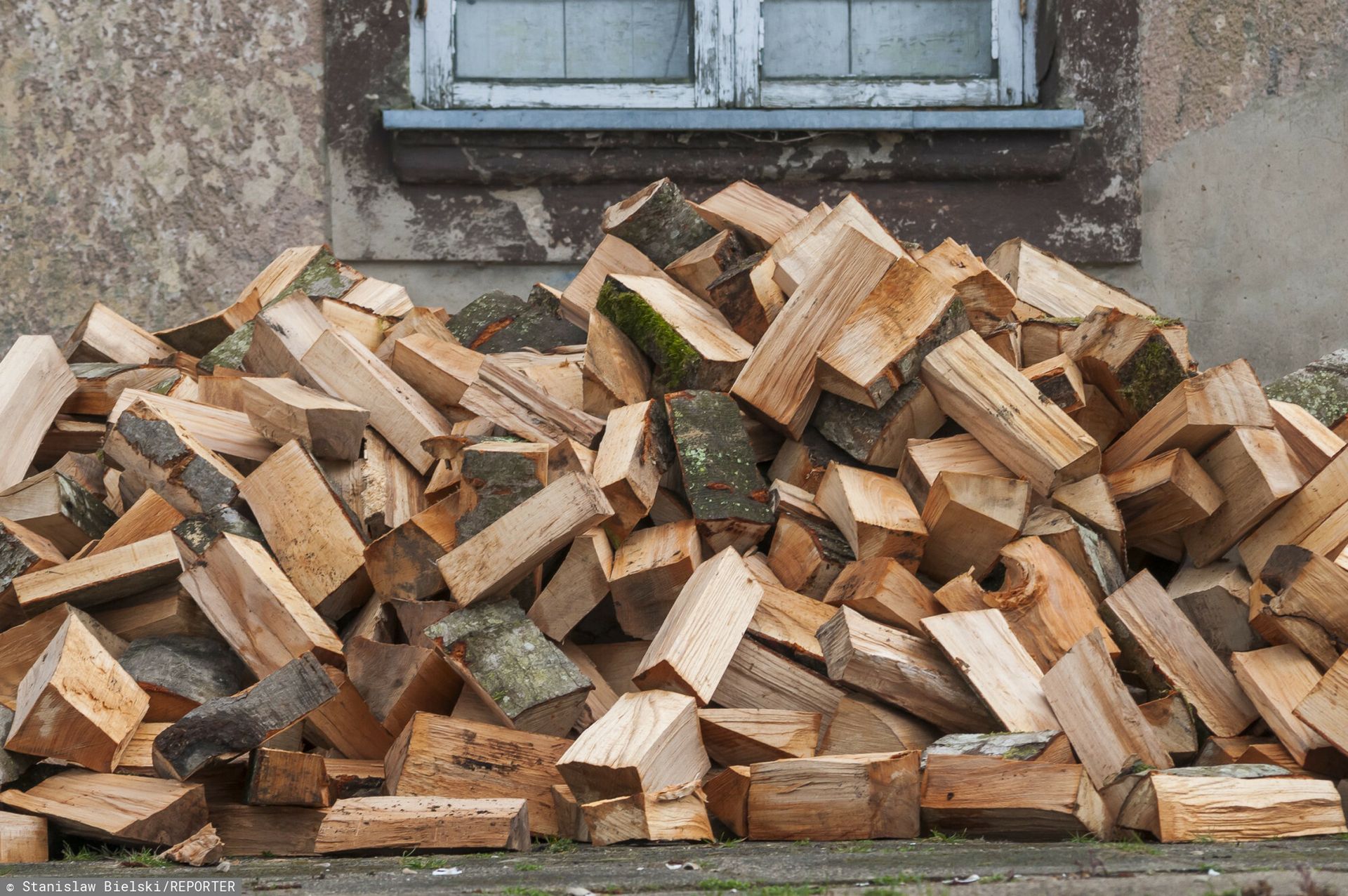 Ceny opału pod koniec października. Tyle kosztuje metr drewna