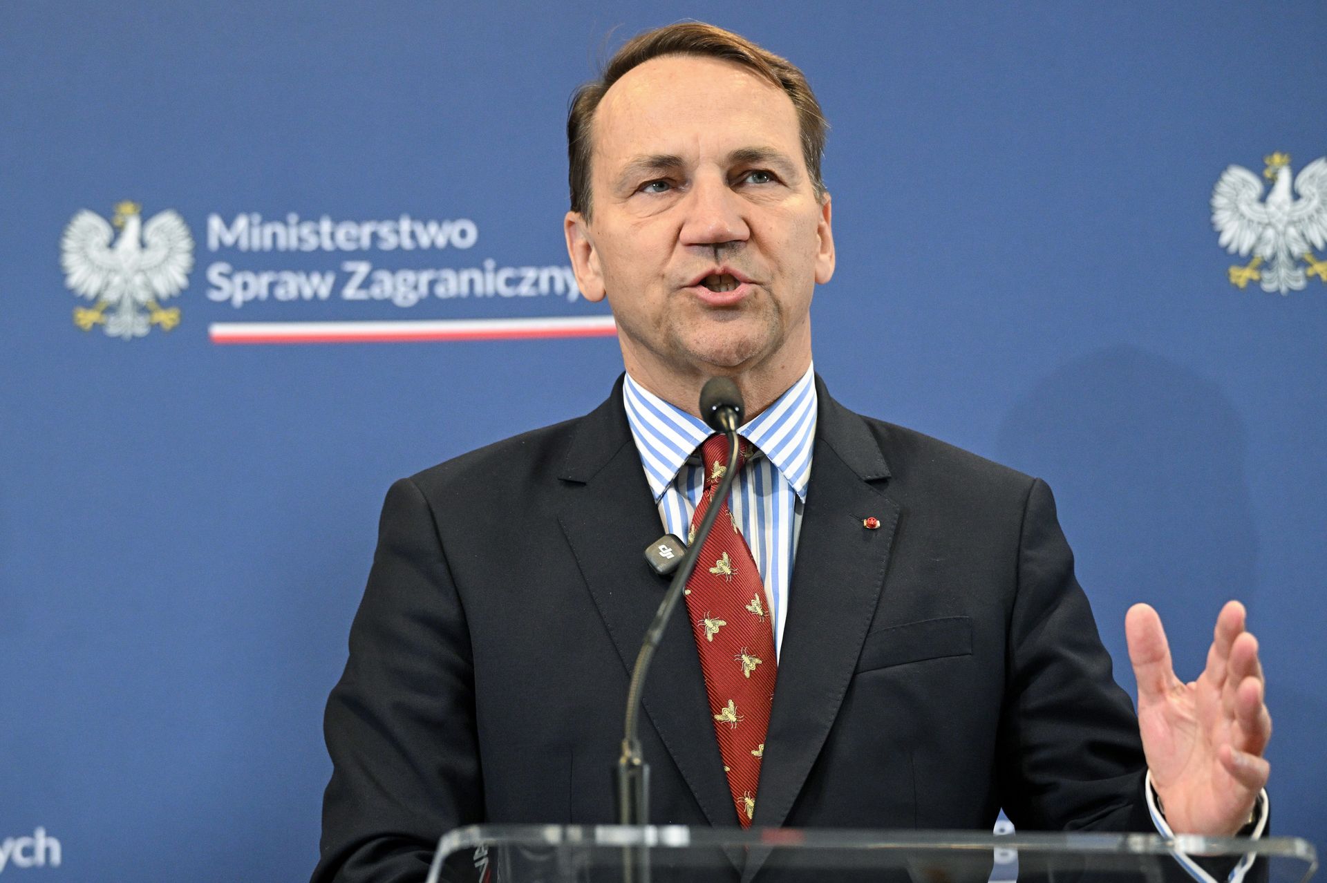 Sikorski o mniejszej roli USA. "Kawaleria za wzgórzem"