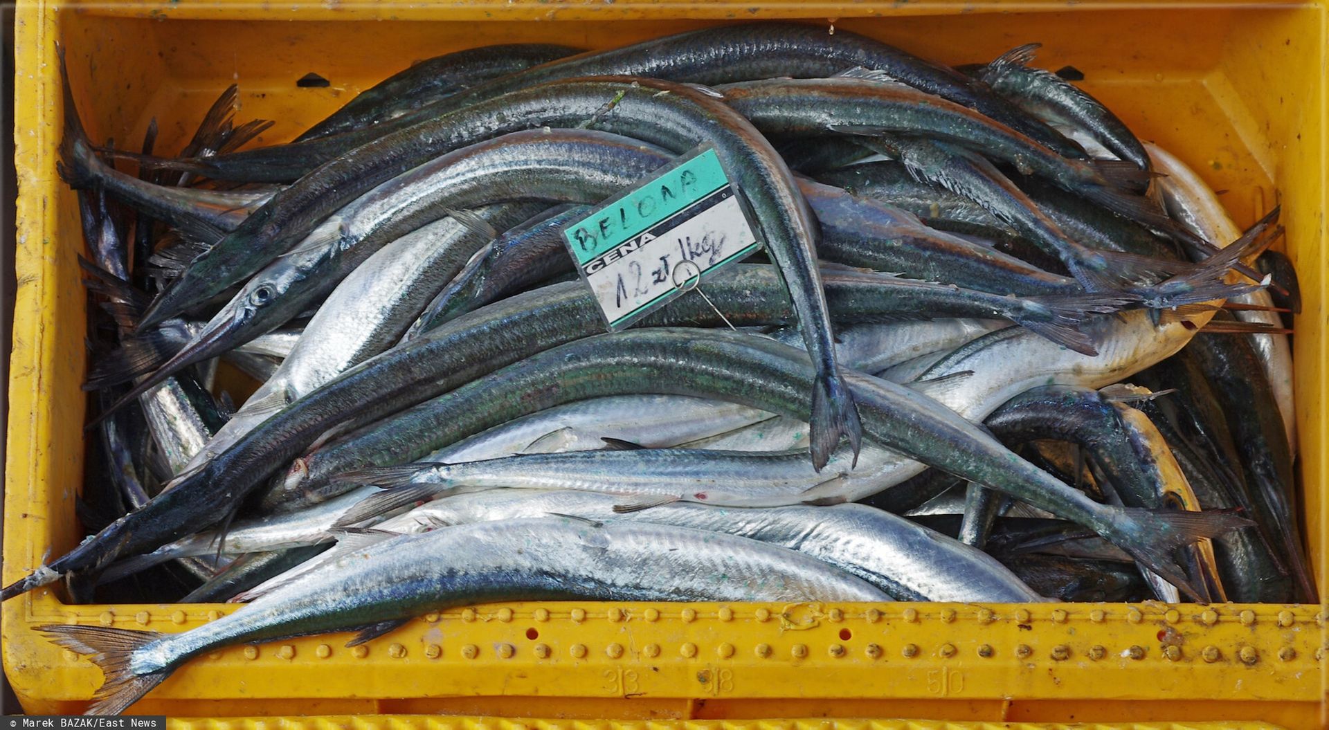 Ma zielone ości i smakuje jak kurczak. Masz czas tylko do czerwca