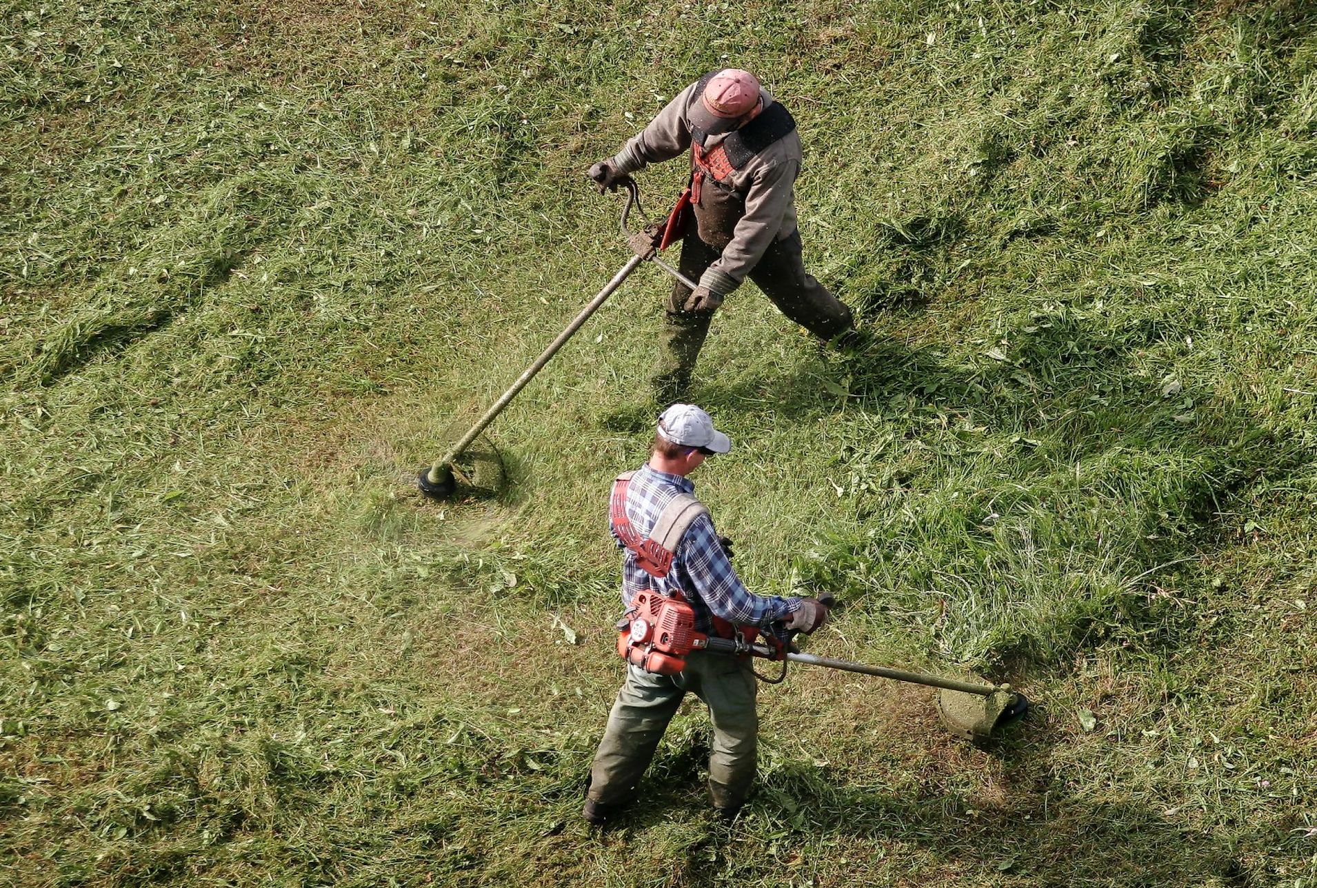 Przepis na katastrofę. W czasie suszy trzeba zapomnieć o kosiarkach