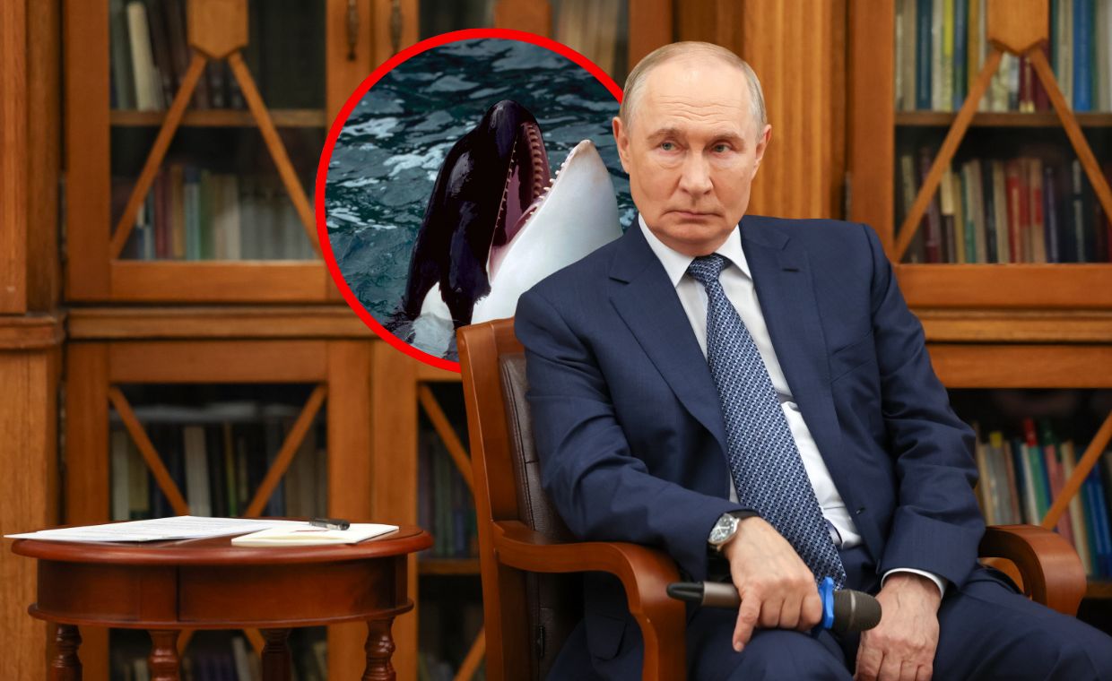 Rozbawiony Putin znalazł metaforę wojny. "To łańcuch pokarmowy"