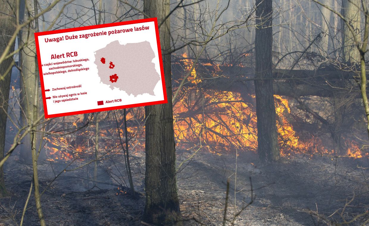 Zagrożenie pożarowe w lasach. RCB wysłało alert