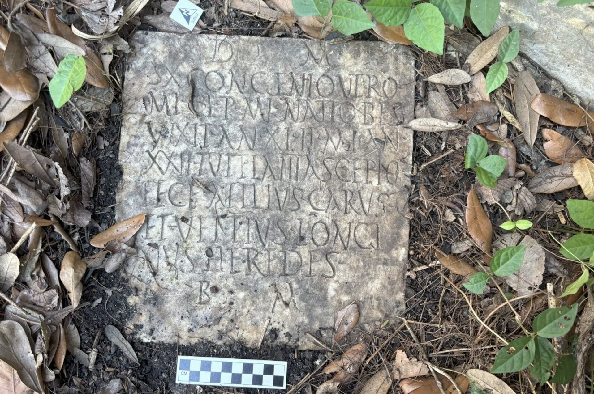 Nie wiedzieli, co mają w ogródku. Napis na kamieniu wyryto 2 tys. lat temu