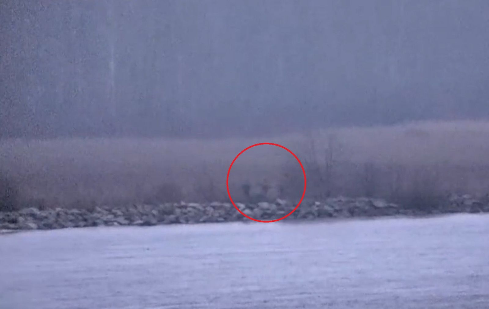 Estonia: Rosyjscy żołnierze przekroczyli granicę NATO. Wszystko się nagrało