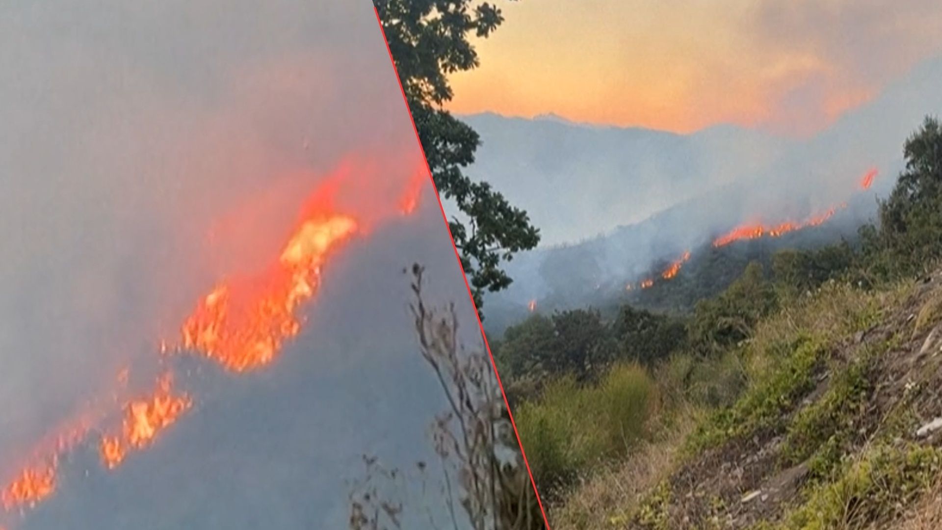 Korsyka płonie. Służby walczą z żywiołem na francuskiej wyspie