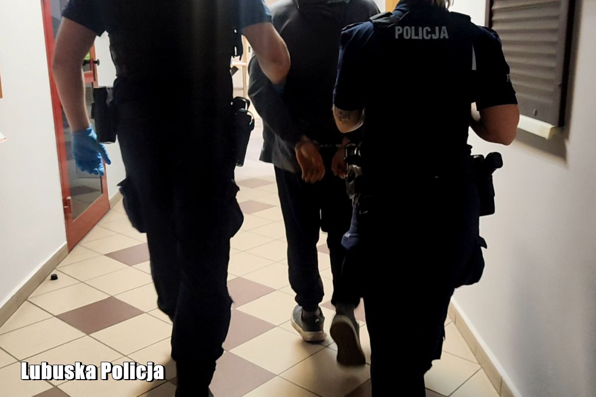 Uderzył kierowniczkę pociągu. Jechał bez biletu