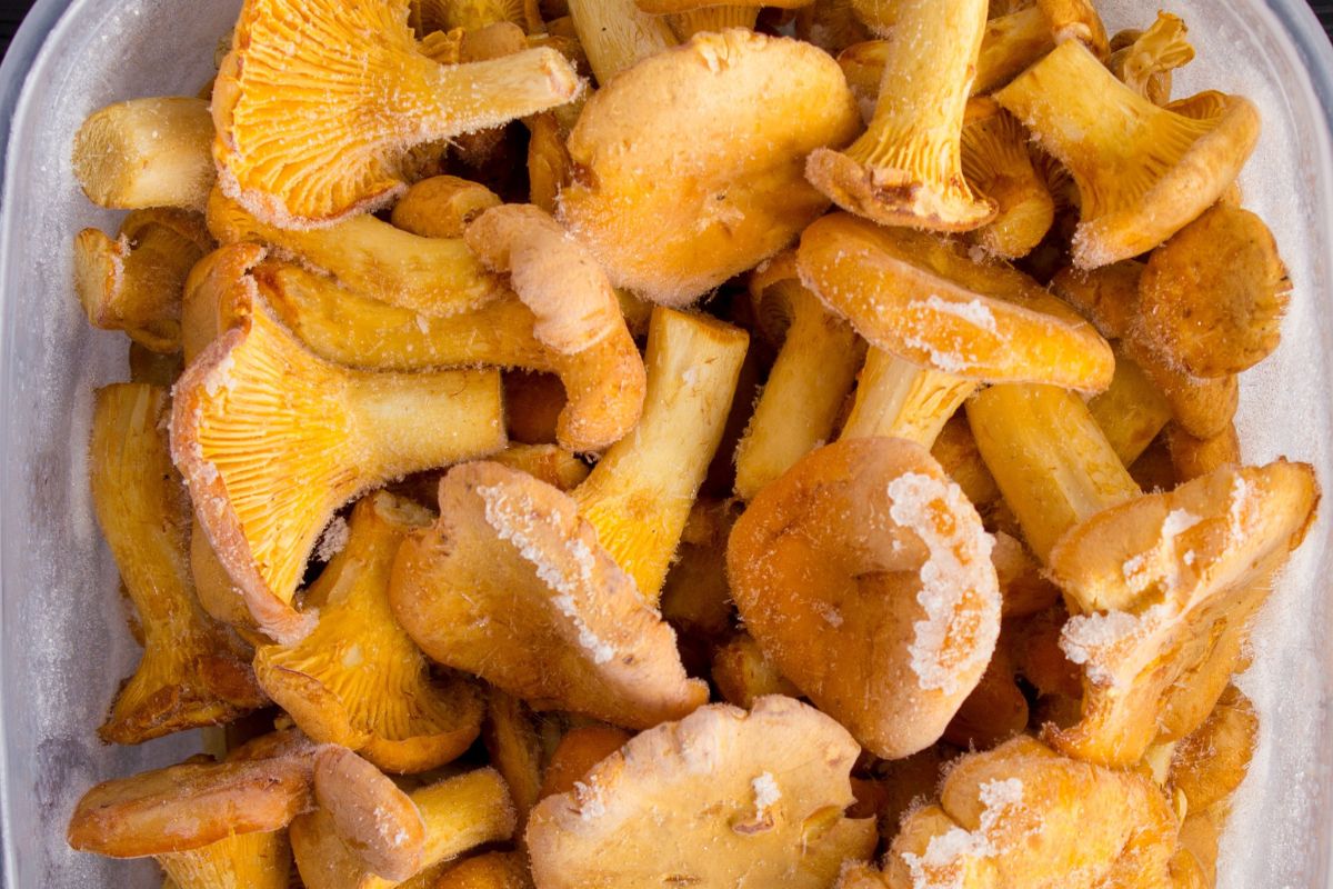 Kurki mrożę tylko w ten sposób. Po przygotowaniu smakują jak świeże i nie są gorzkie