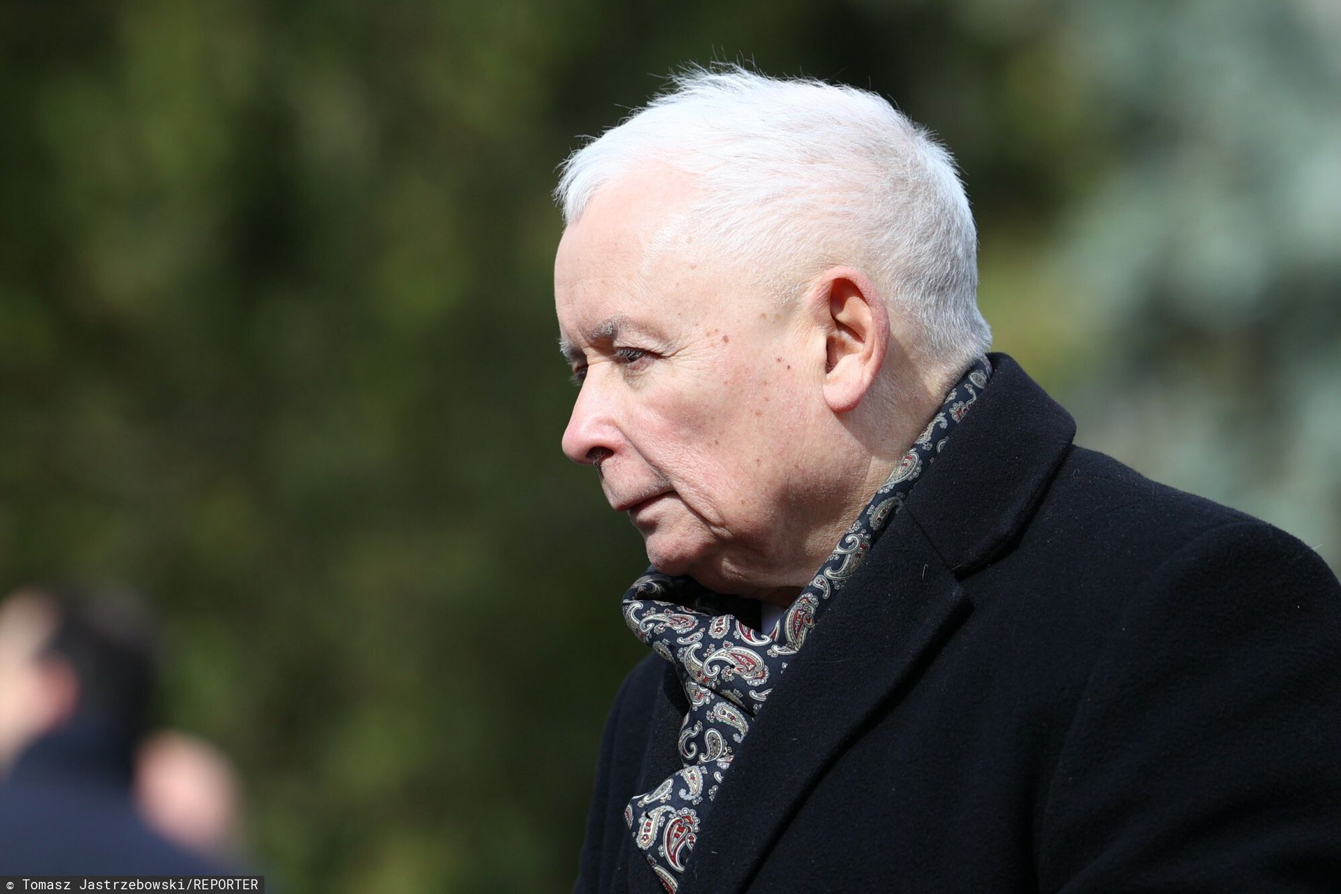 Gargamel o śmierci papieża Franciszka