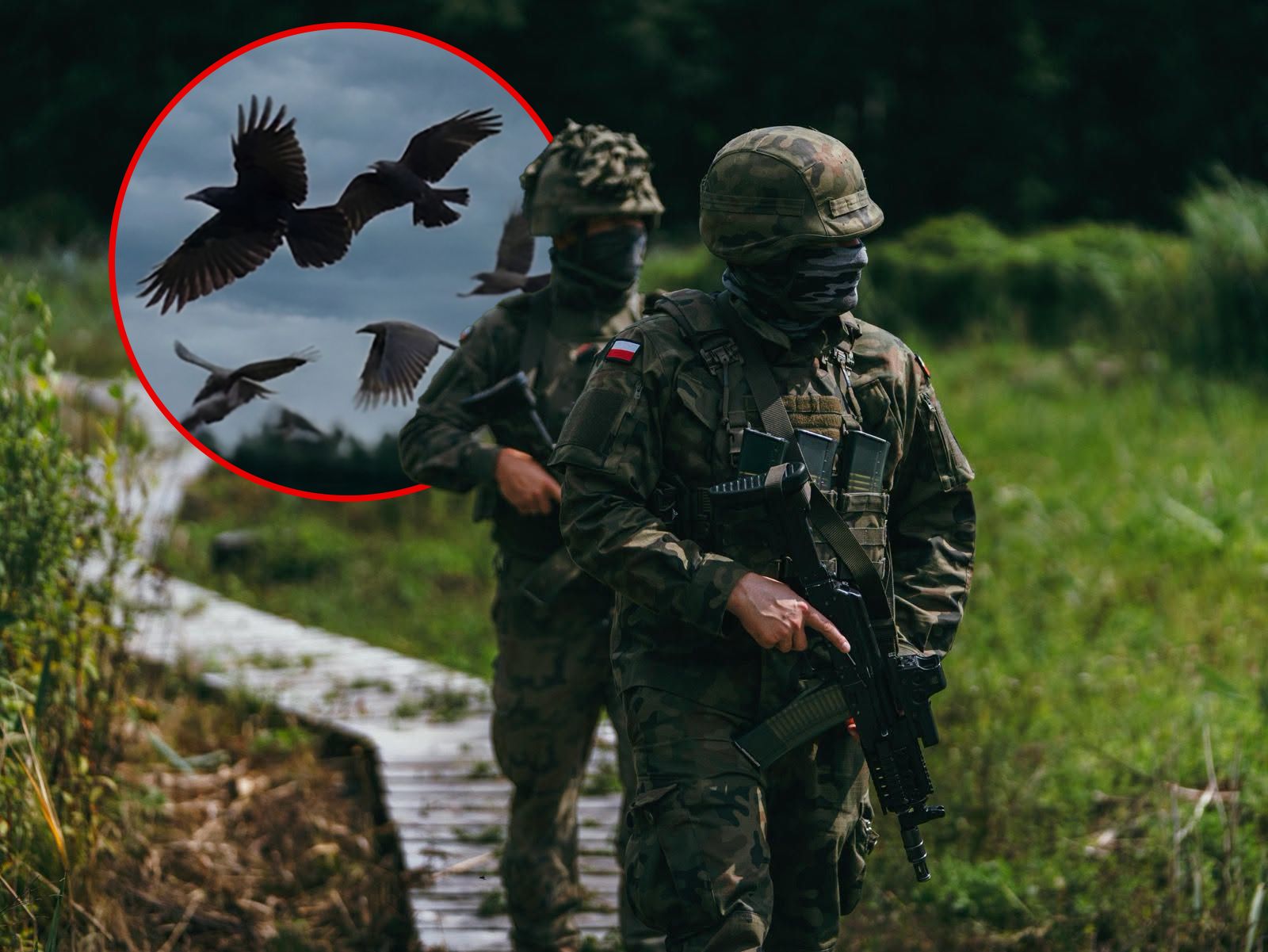 Ptaki, nie drony czy rakiety. Dlaczego wojsko się pomyliło?