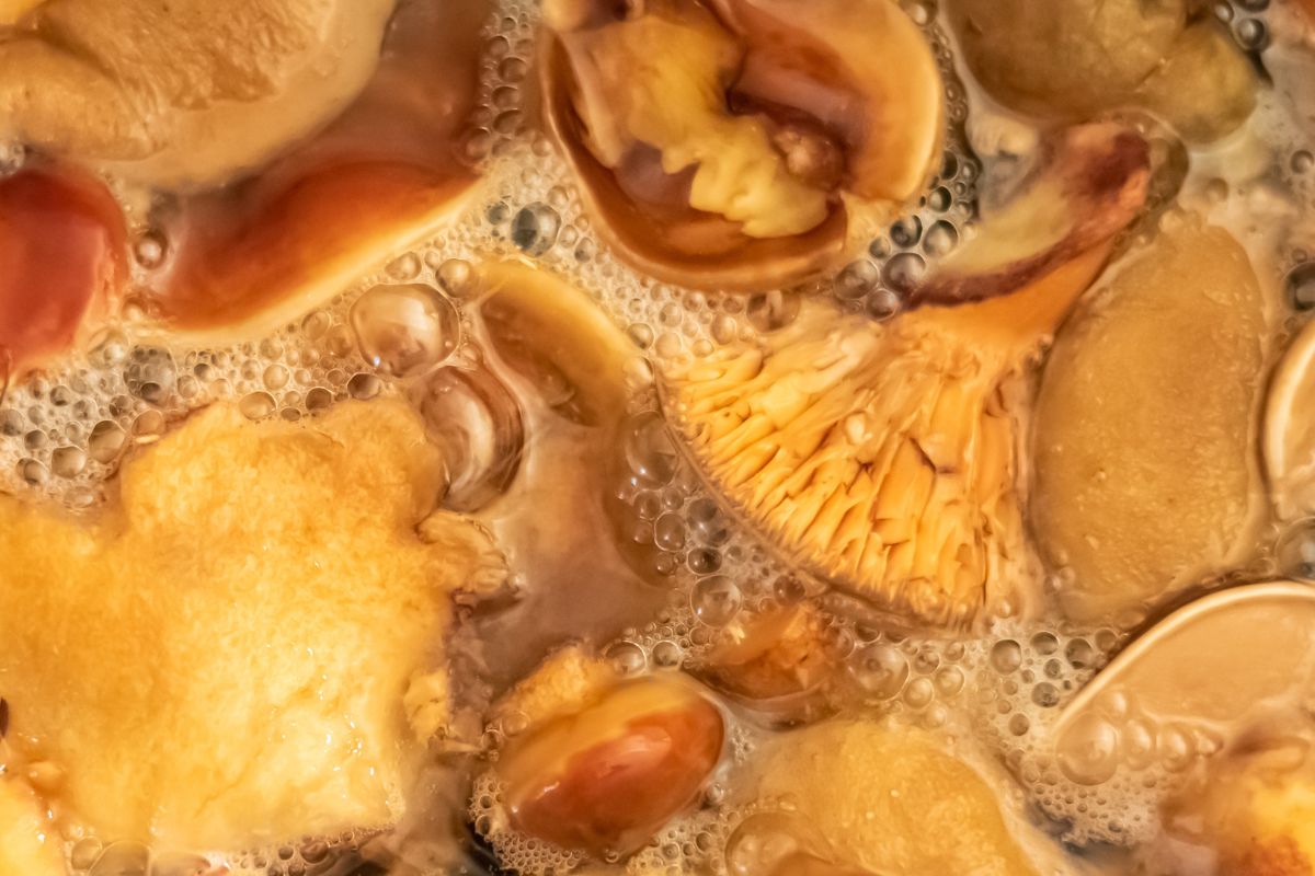 Najgorszy błąd przy grzybach. Tracą smak i większość wartości