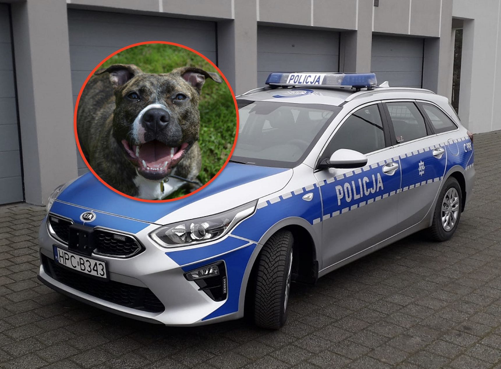 Pies rzucił się na policjanta. Właściciel poniesie konsekwencje