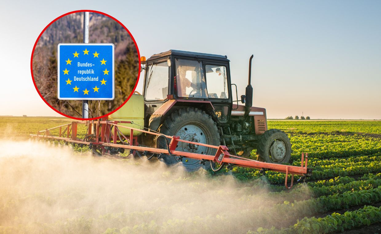 Glifosat pod lupą. Gdzie jest zakazany, a gdzie stosowany mimo ryzyka?