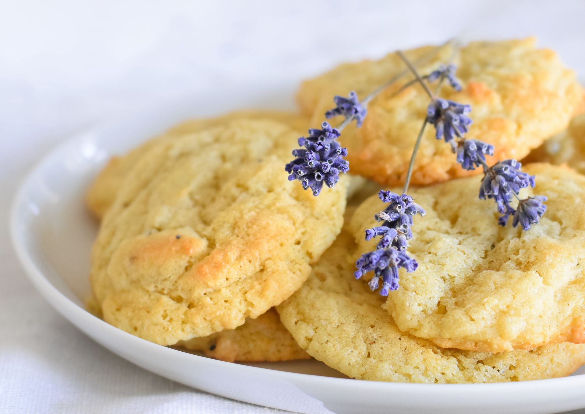 Pyszne ciasteczka dla "kwiatożerców". Na jednym się nie skończy