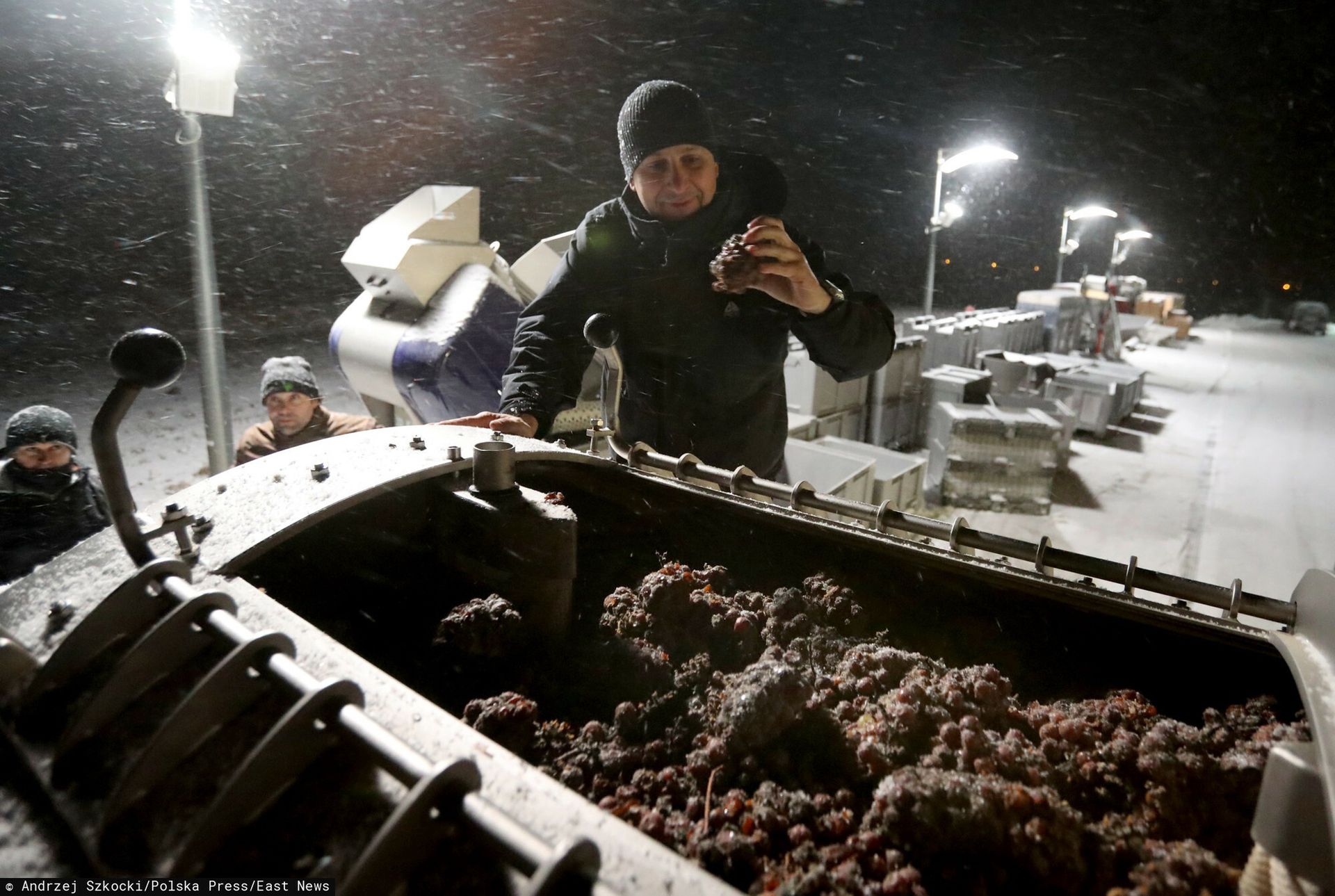 Mrozy to dla nich żniwa. Ten alkohol nie powstaje w Polsce co roku