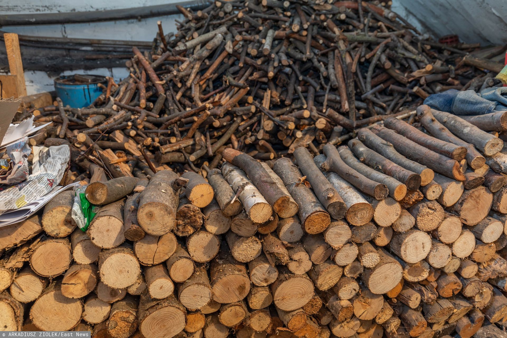 Aktualne ceny opału w nadleśnictwach. Tyle kosztuje metr drewna w listopadzie