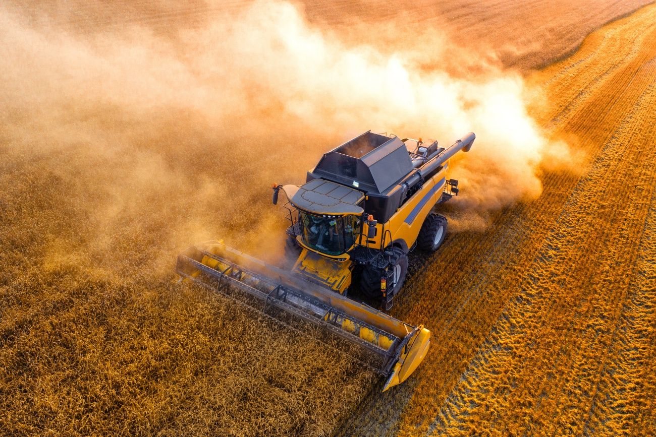 Płacą 180 zł za godzinę. Brakuje chętnych do pracy w sezonie
