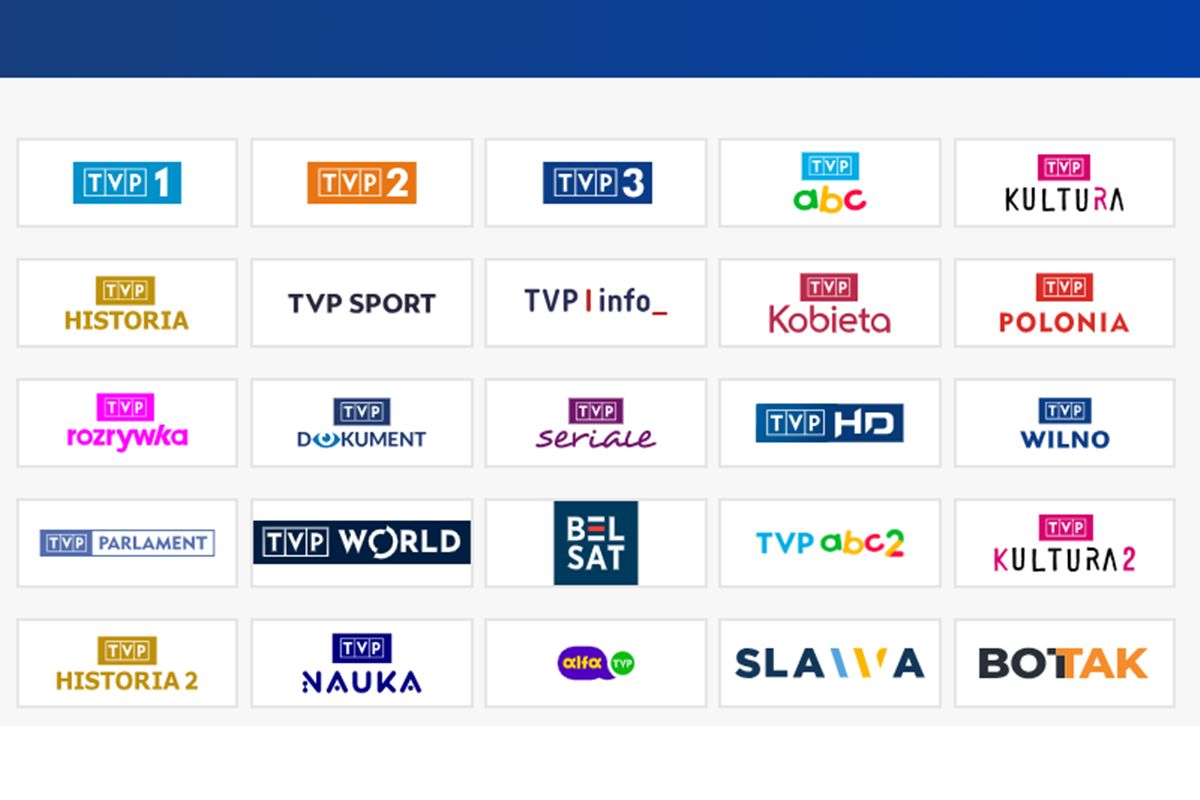 TVP ma aż 22 kanały. Czy potrzebne są zmiany? "To rynkowa aberracja"