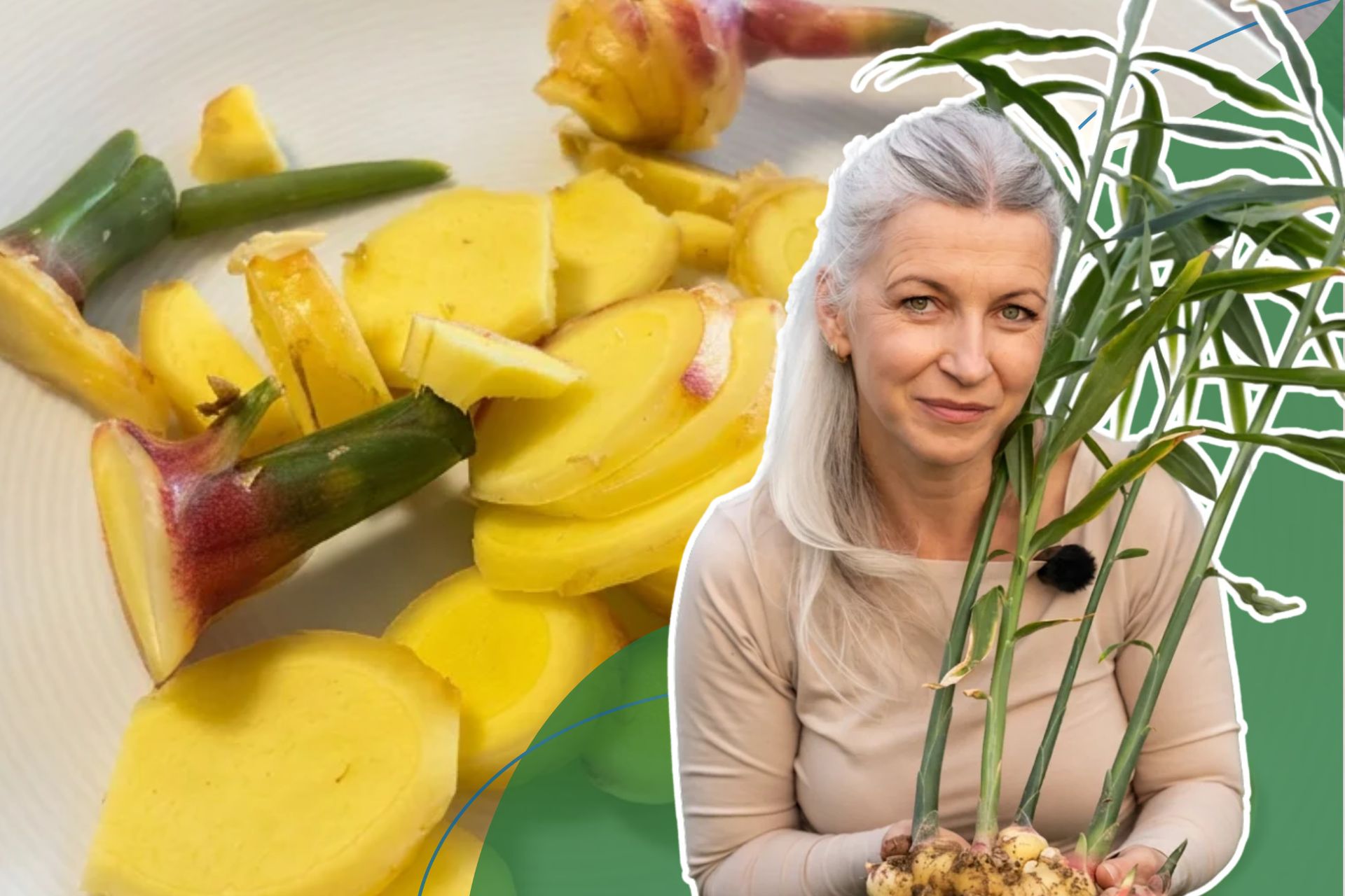 Zaczęła od jednej doniczki. Dziś ma pierwszą plantację imbiru w Polsce