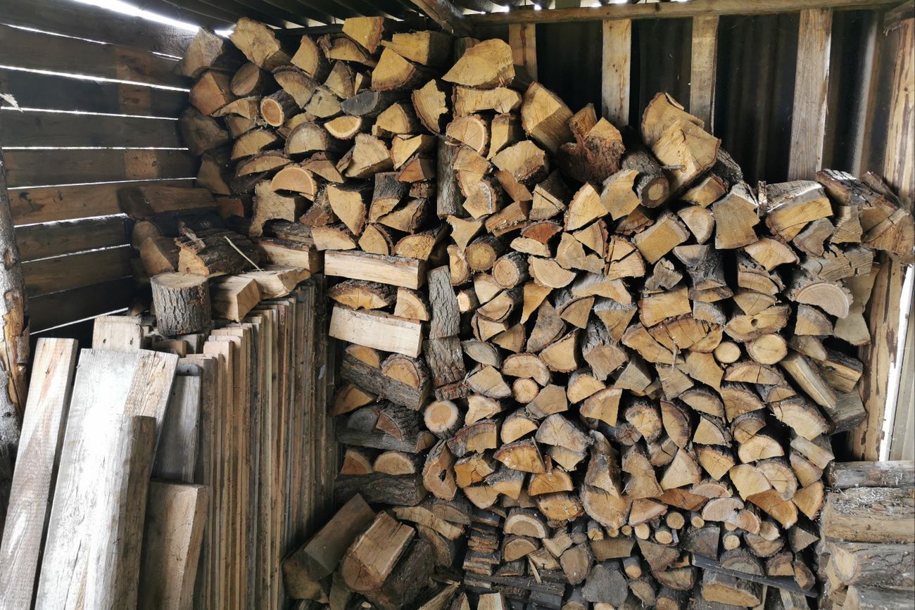 Tyle kosztuje drewno na opał. Ceny w marketach i nadleśnictwach