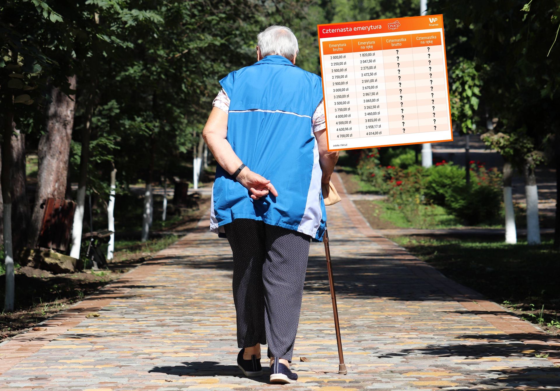 Dodatkowe pieniądze dla emerytów już w piątek. Kolejne wypłaty 14-tek