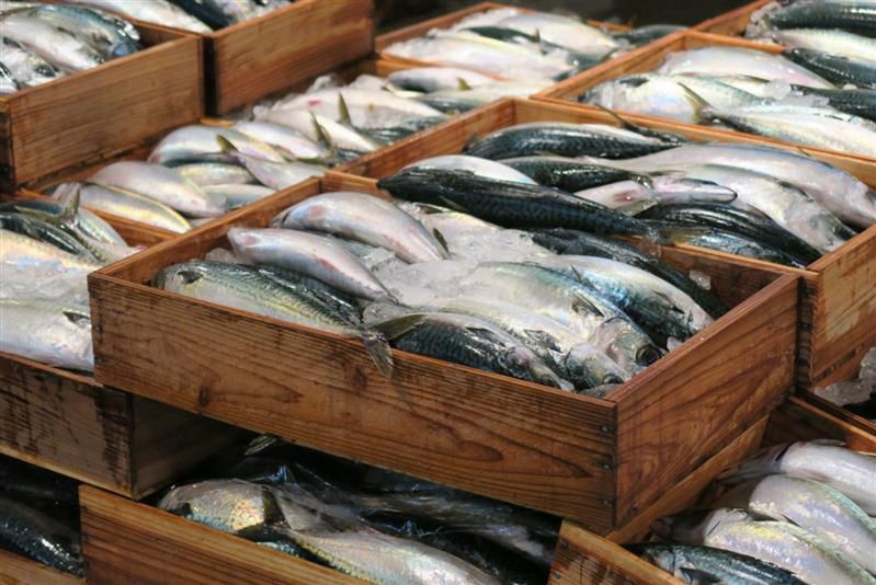 Uwielbiana w Polsce ryba może zniknąć. "To bardzo poważna sprawa"