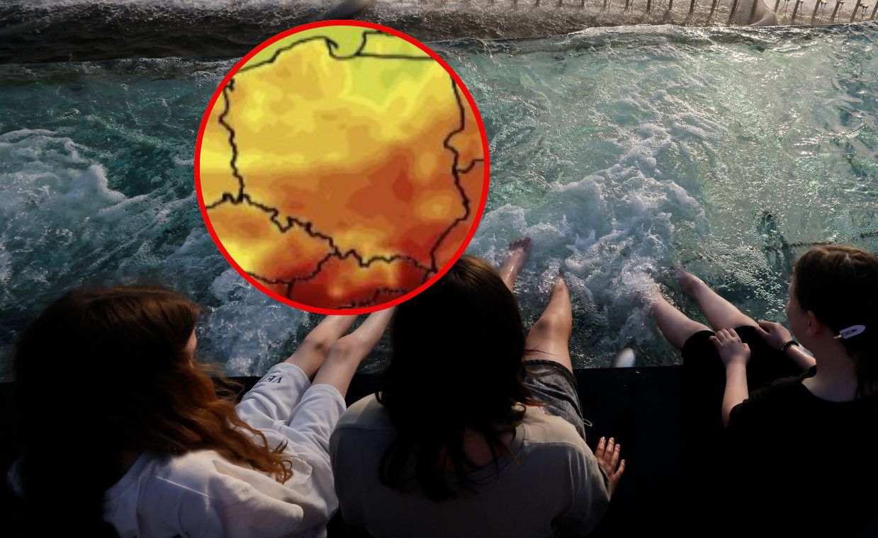 Nawet 30 stopni. IMGW wydało alerty