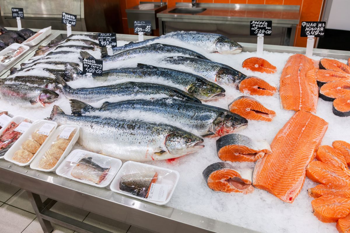 Najsmaczniejsza i najzdrowsza ryba. Można ją kupić w Polsce, choć nie jest to łatwe