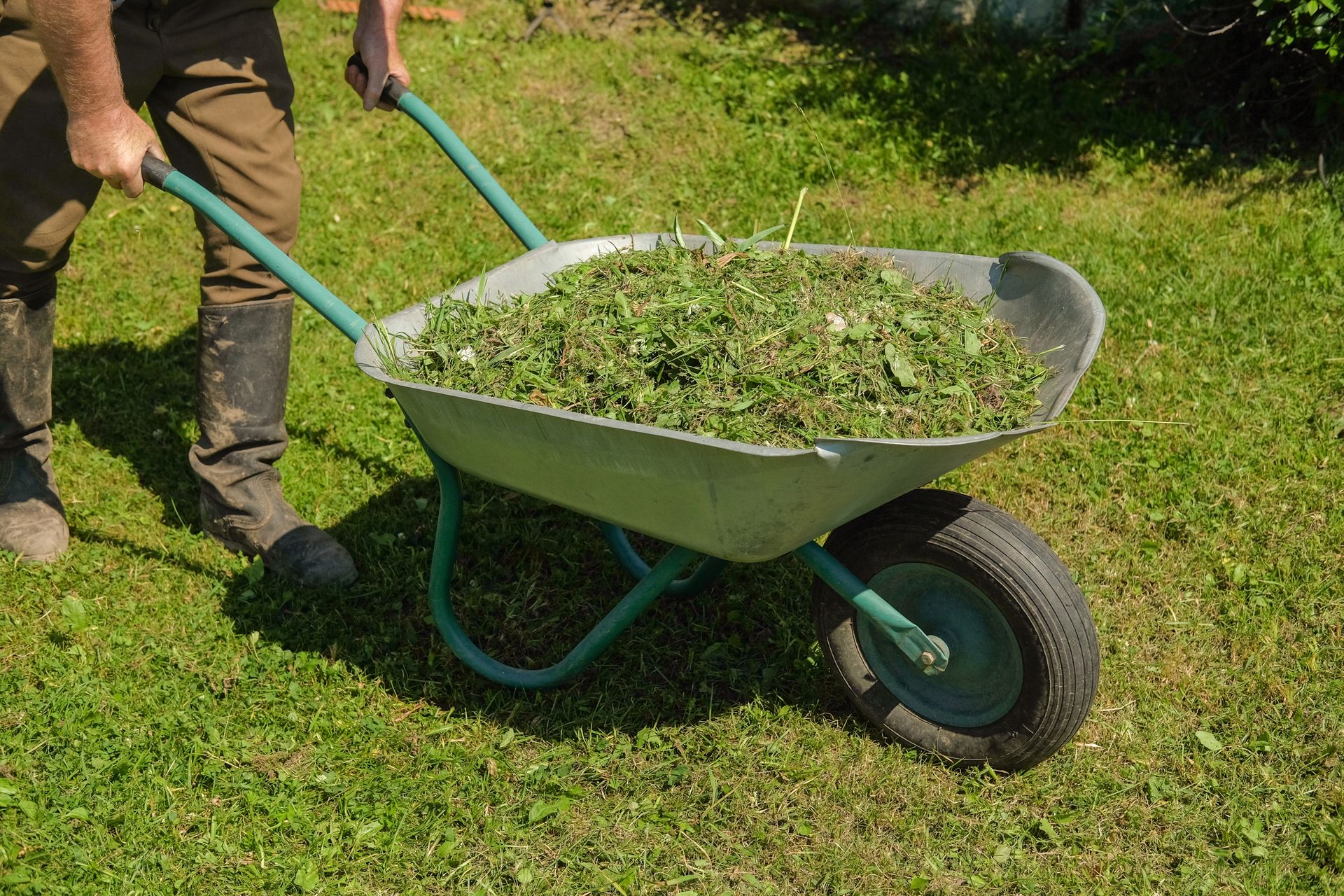 Nawet 500 zł mandatu. Uważaj po skoszeniu trawnika
