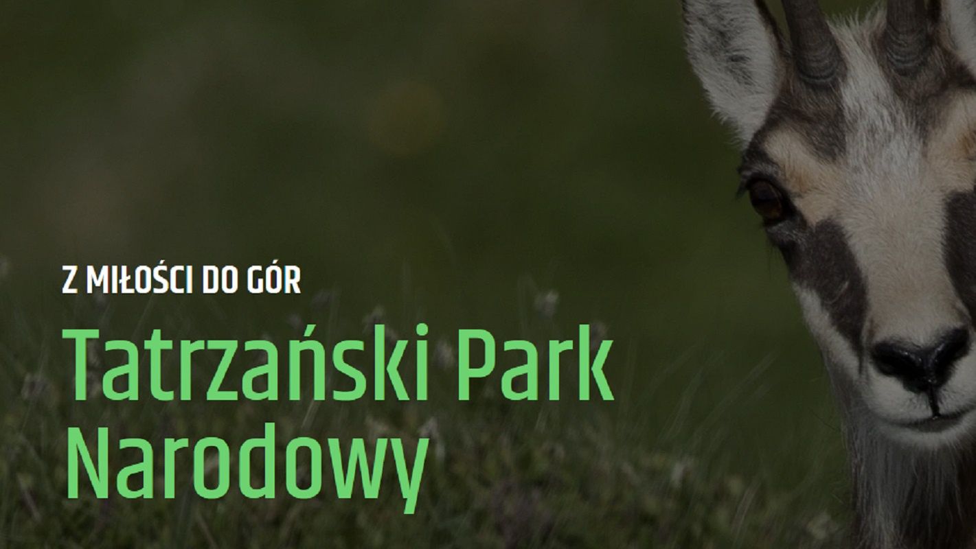 Euvic Media zajmuje się obsługą kampanii Tatrzańskiego Parku Narodowego