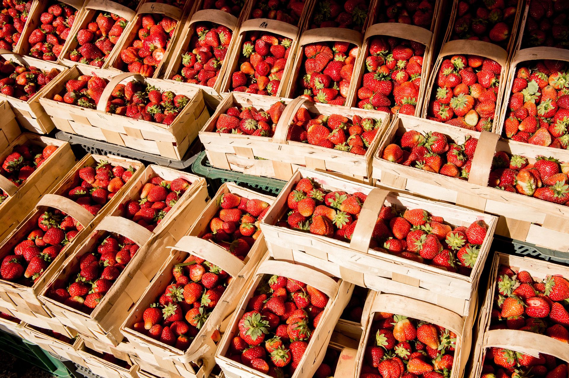 Truskawki tak drogie, iż choćby Niemcy są zaskoczeni. "Nie kupiłbym"