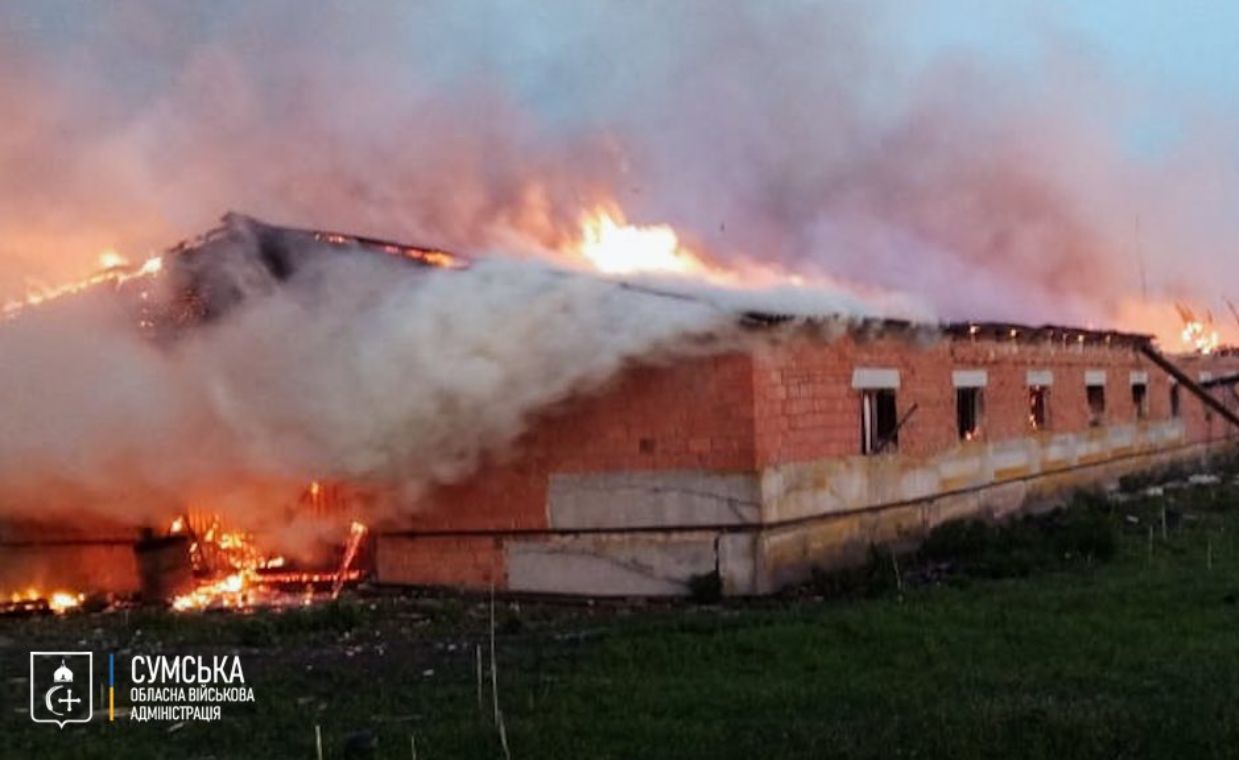 Atak dronów na ukraińską farmę. Setki zwierząt zginęło