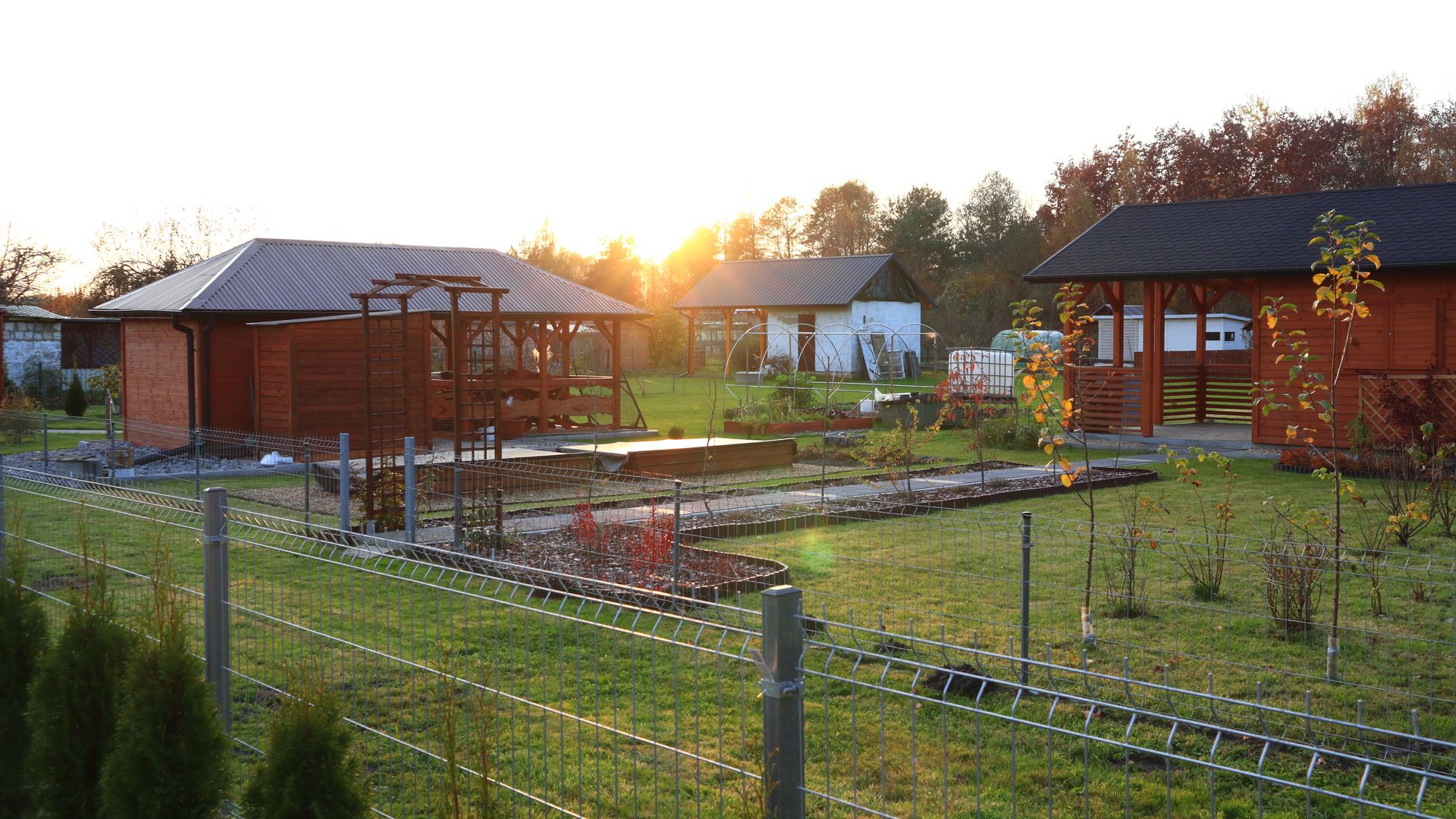 Działki ROD jako ucieczka przed kryzysem mieszkaniowym. Czy Polacy znaleźli sposób na tanie życie?