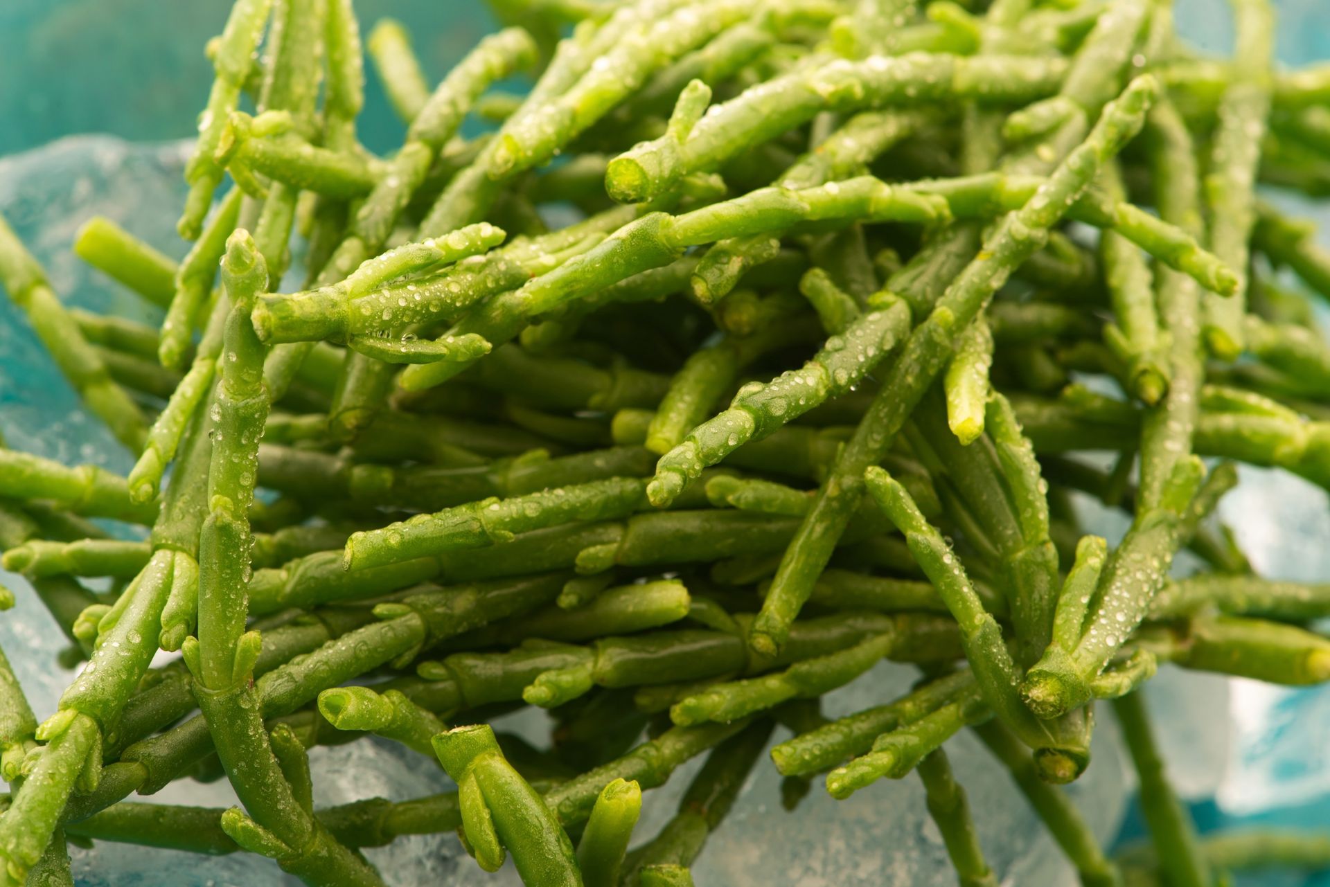 Z powodzeniem zastąpi pół apteczki. Kiedy zobaczysz w sklepie, bez wahania wrzuć do koszyka