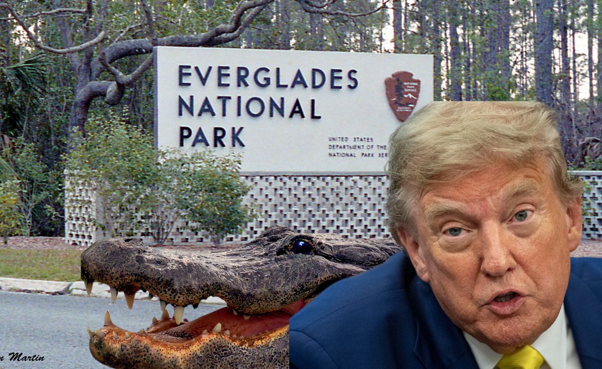 „Aligatorowe Alcatraz”. Nowy pomysł na migrantów na Florydzie