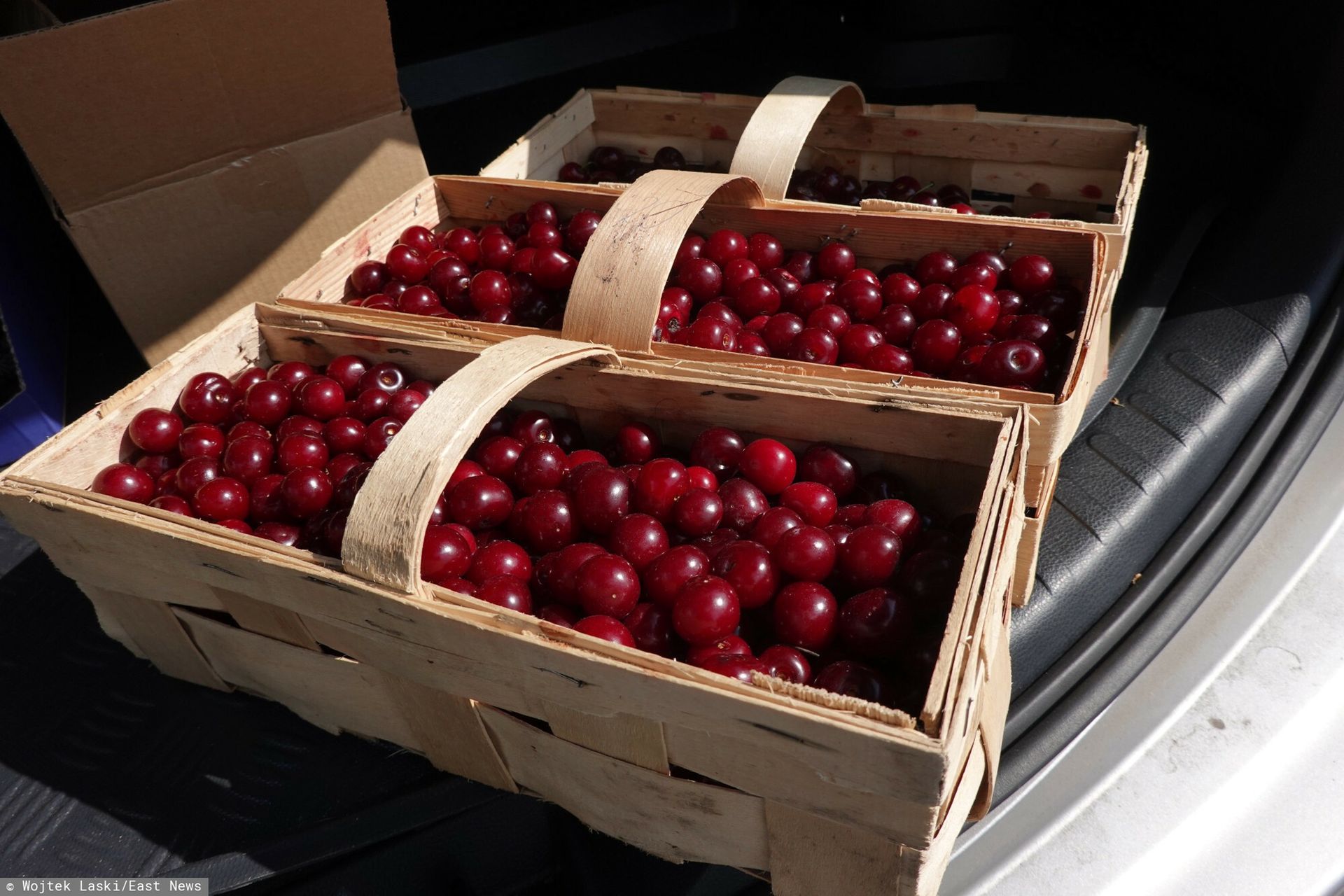 Wielki niedobór wiśni. Brakuje owoców, ale chętnych już nie. Mimo cen