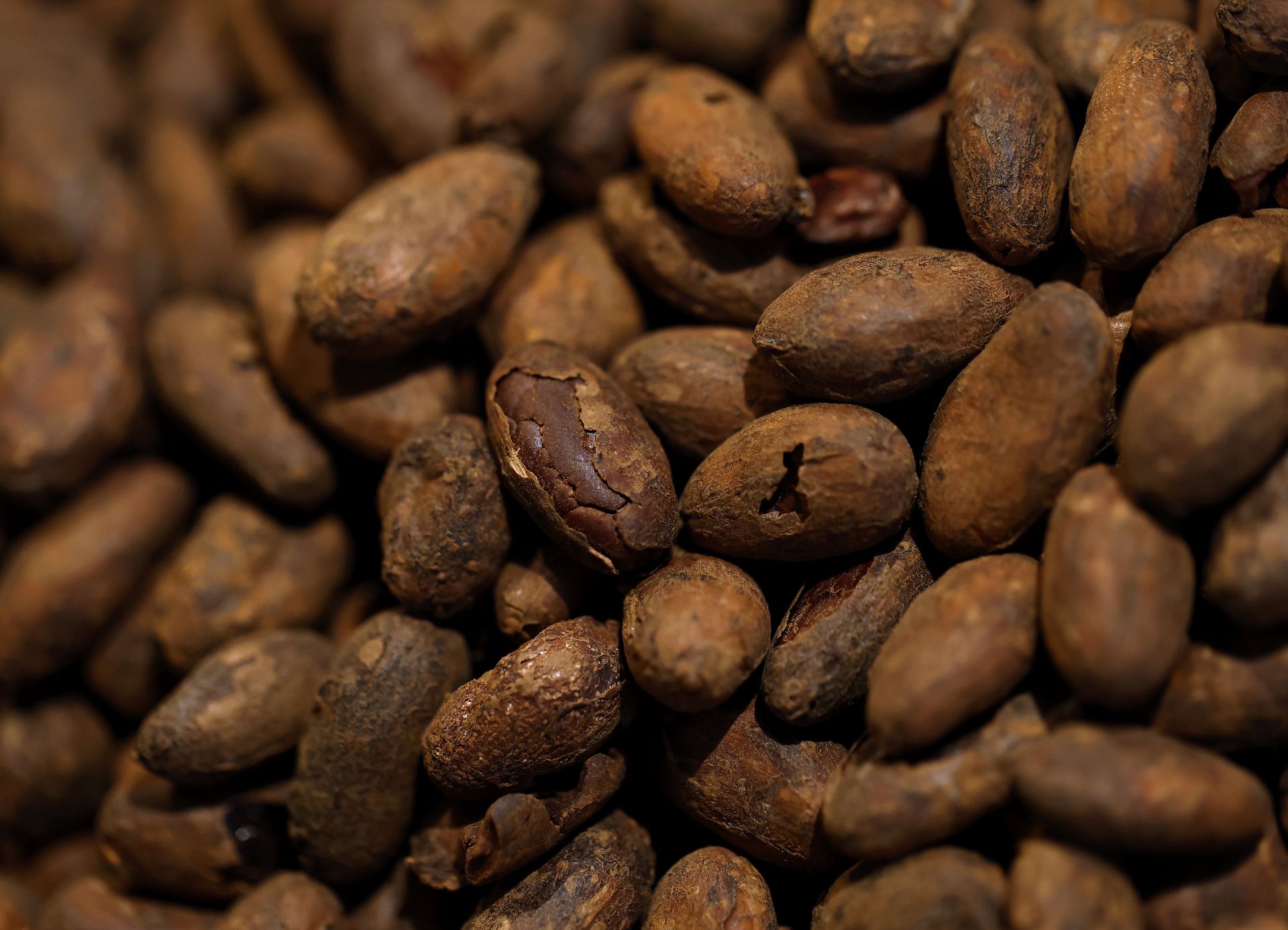 Może spowalniać starzenie. Znajduje się w tych popularnych ziarnach