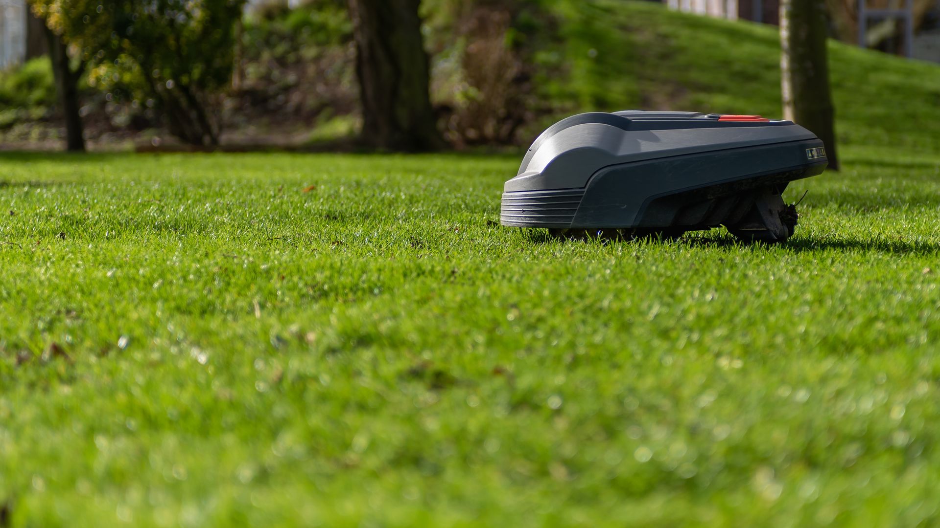Koniec z ręcznym koszeniem – TOP roboty koszące do każdego ogrodu