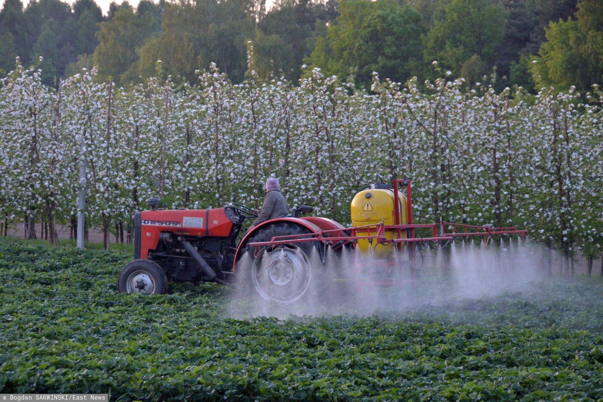 Rolnicy dopięli swego. Ministerstwo zapowiada zmiany dotyczące wiatru