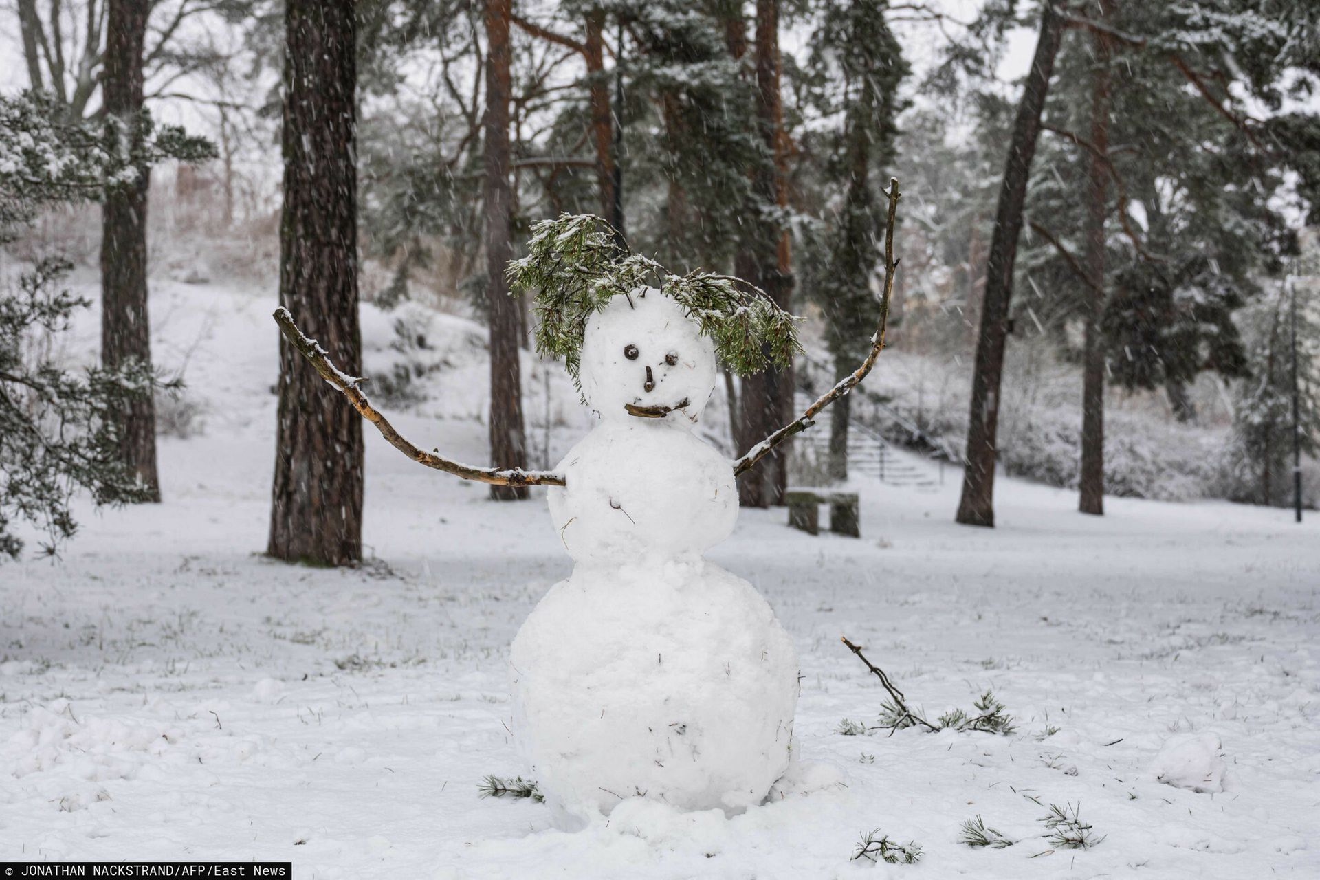 Jak rekordowe ciepło "zgasiło" słońce nad Północą? Skandynawia stała się w grudniu laboratorium zmiany klimatu
