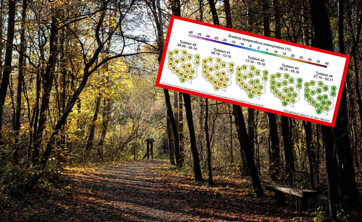 Najnowsza prognoza pogody na październik. Jakie będą temperatury?