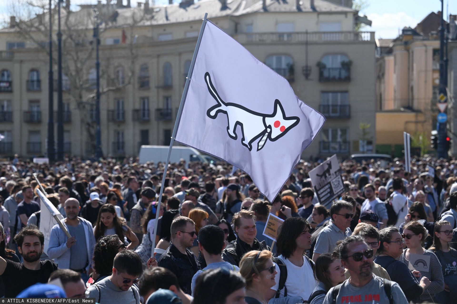 "Śmierć kolorom" w stolicy Węgier. Tysiące osób na demonstracji