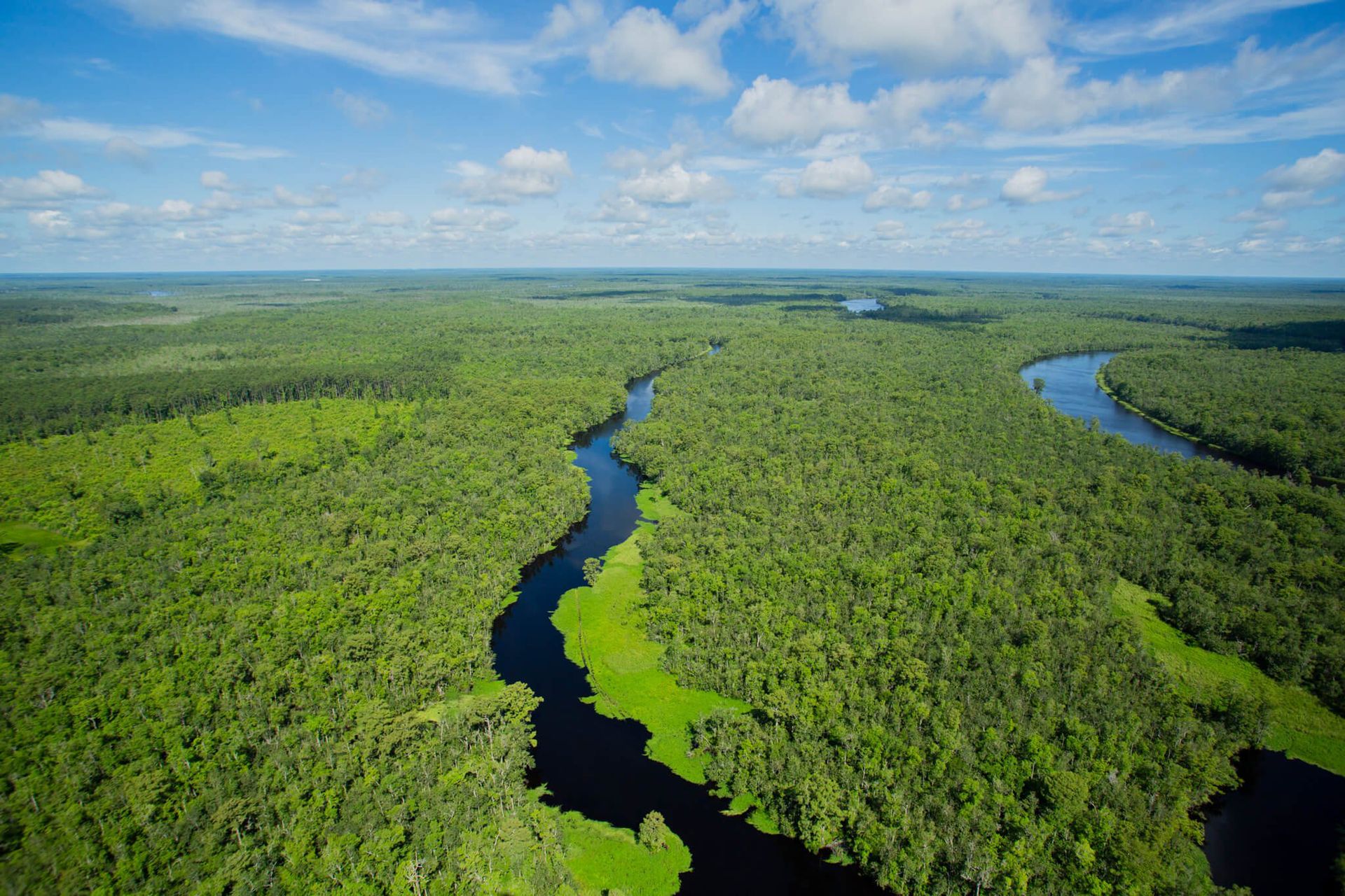 Mokradła kontra armia? Ekspert: natura wzmacnia naszą wschodnią granicę