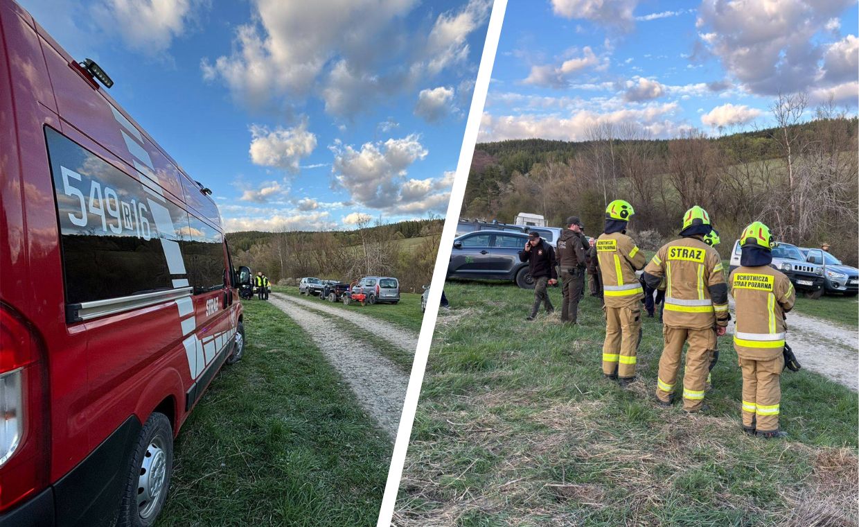 W lesie miał zaatakować ją niedźwiedź. Jest oficjalne potwierdzenie