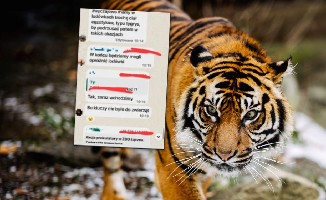 Afera ws. zoo w Łącznej. Przyszła pora na rozliczenia? Są zawiadomienia ws. prokuratorów