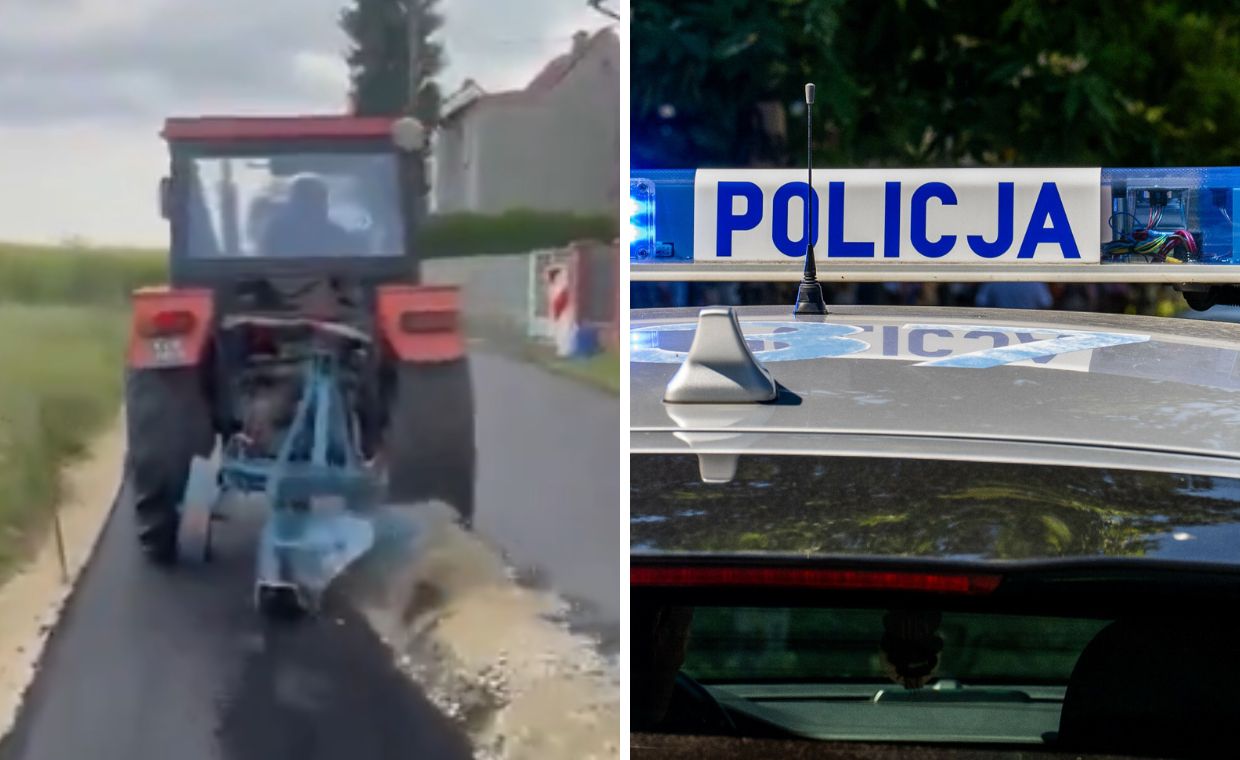 Wiadomo, co stało się z psem rolnika z Gliwic. Policja tłumaczy